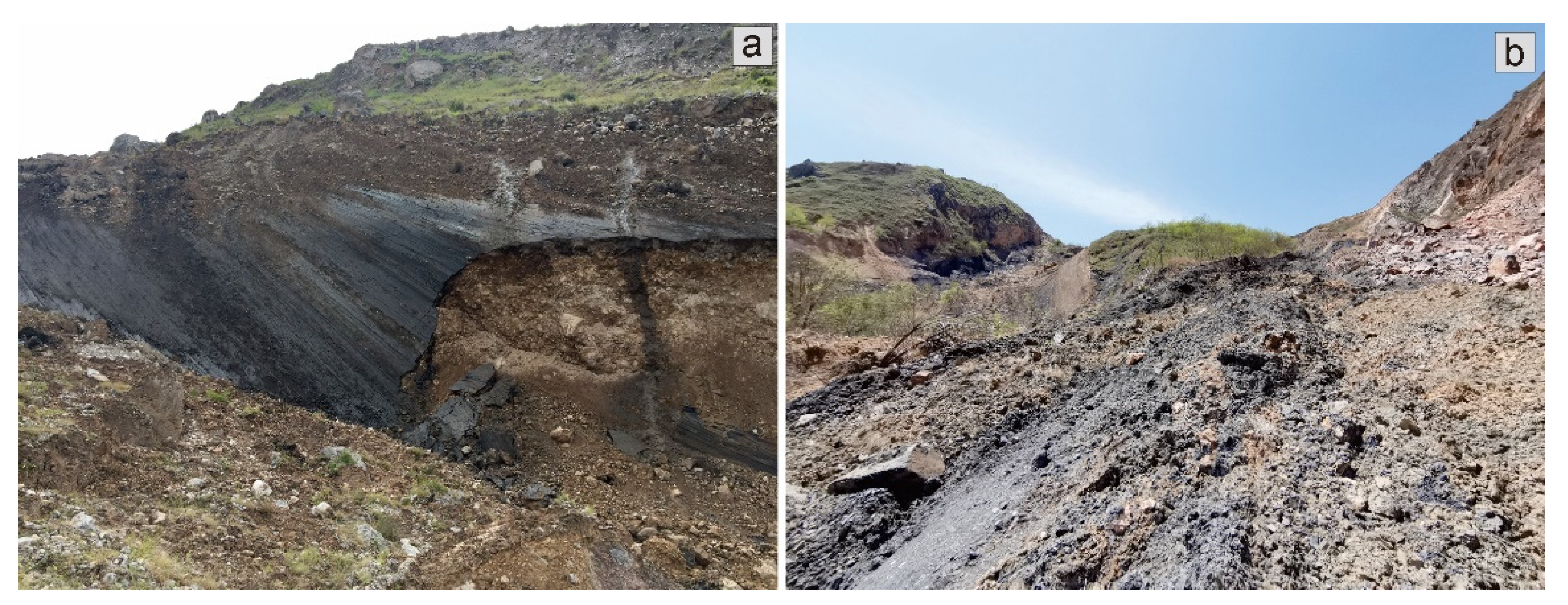 Remotesensing 13 04990 g002