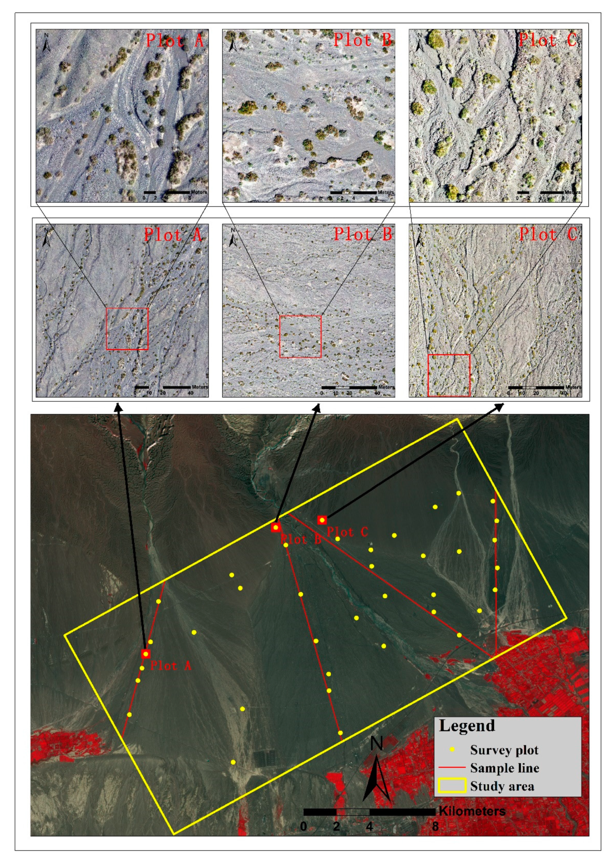 Remotesensing 13 04995 g002