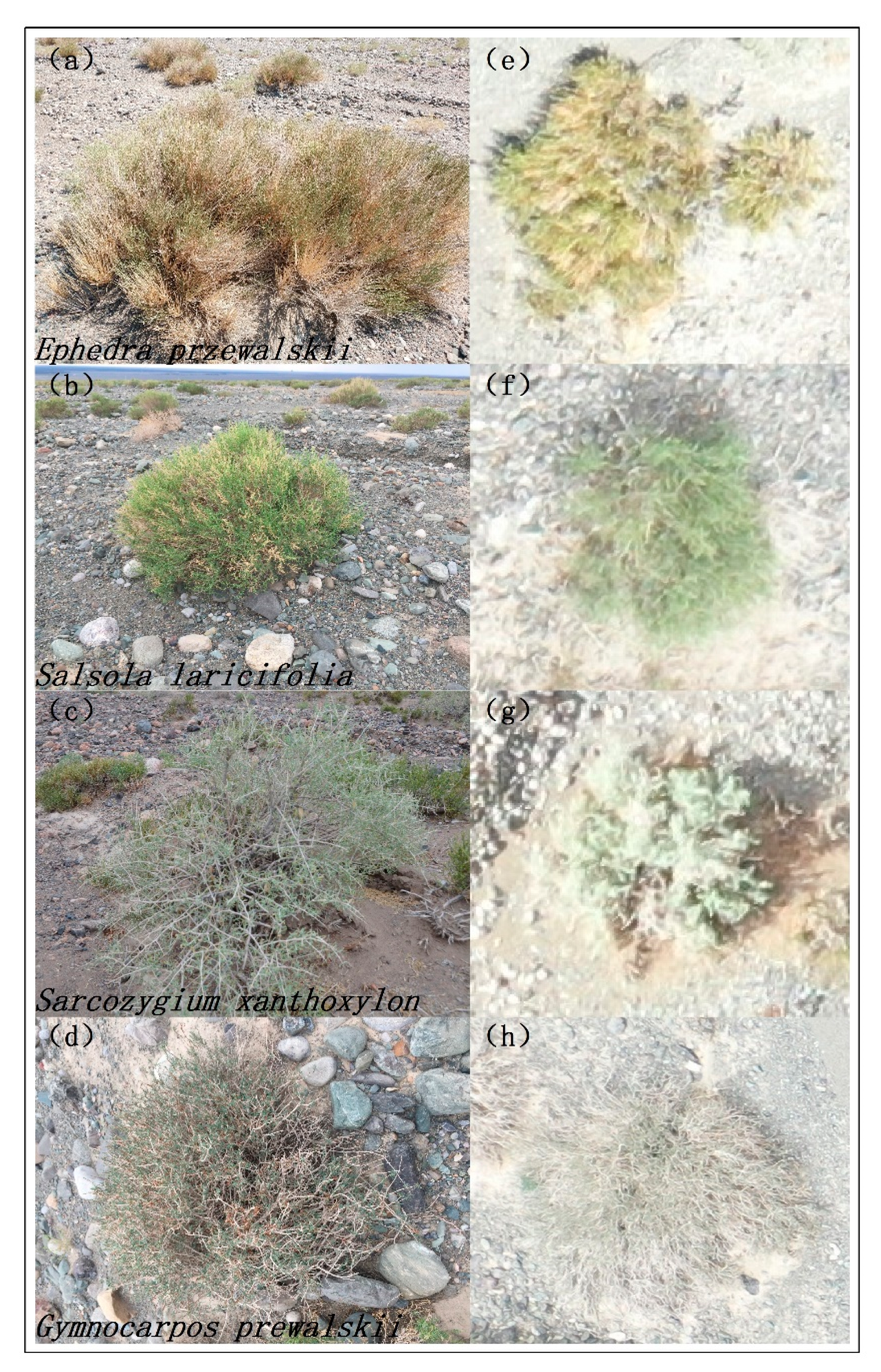 Remotesensing 13 04995 g003