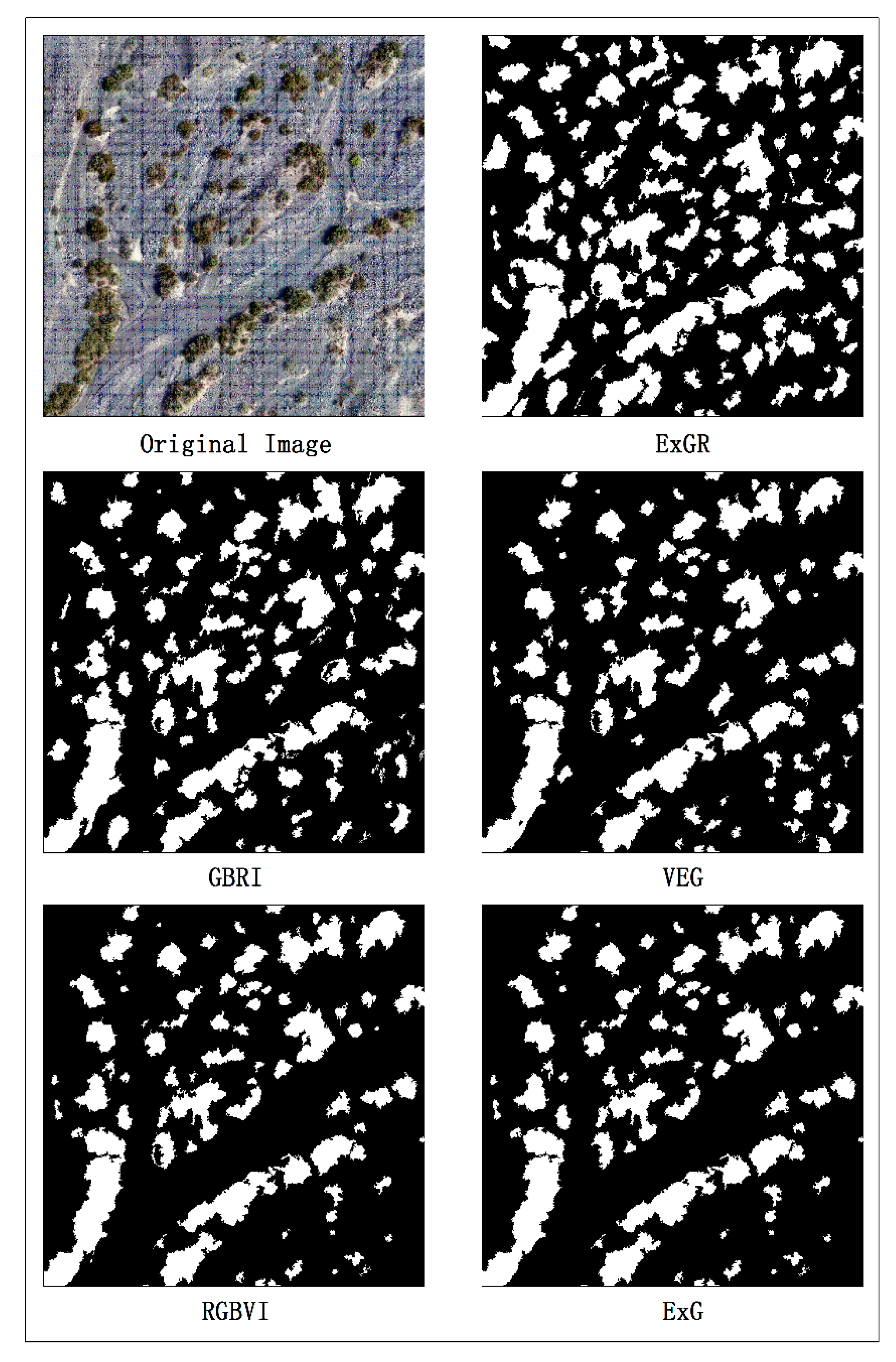 Remotesensing 13 04995 g006