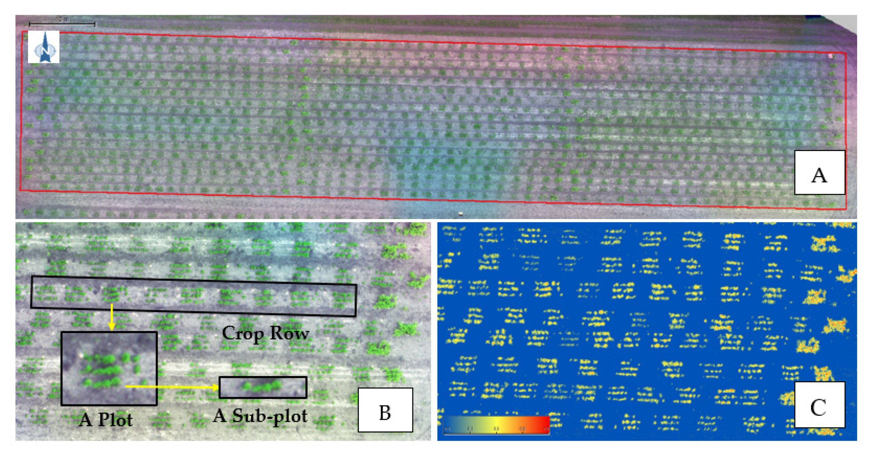Remotesensing 13 04997 g001