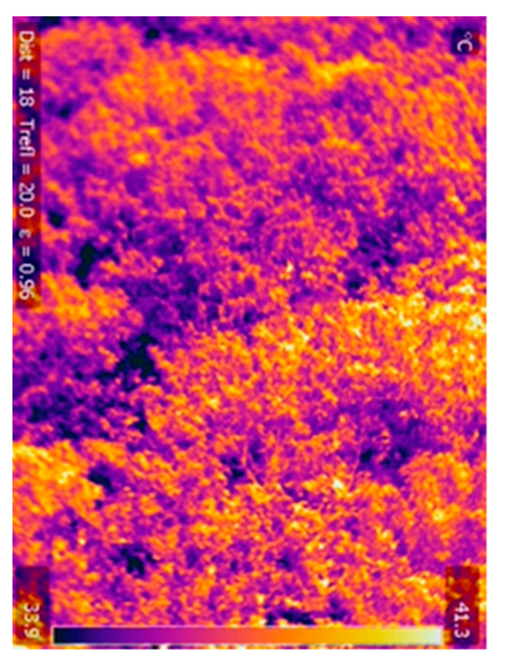 Remotesensing 13 05028 g002