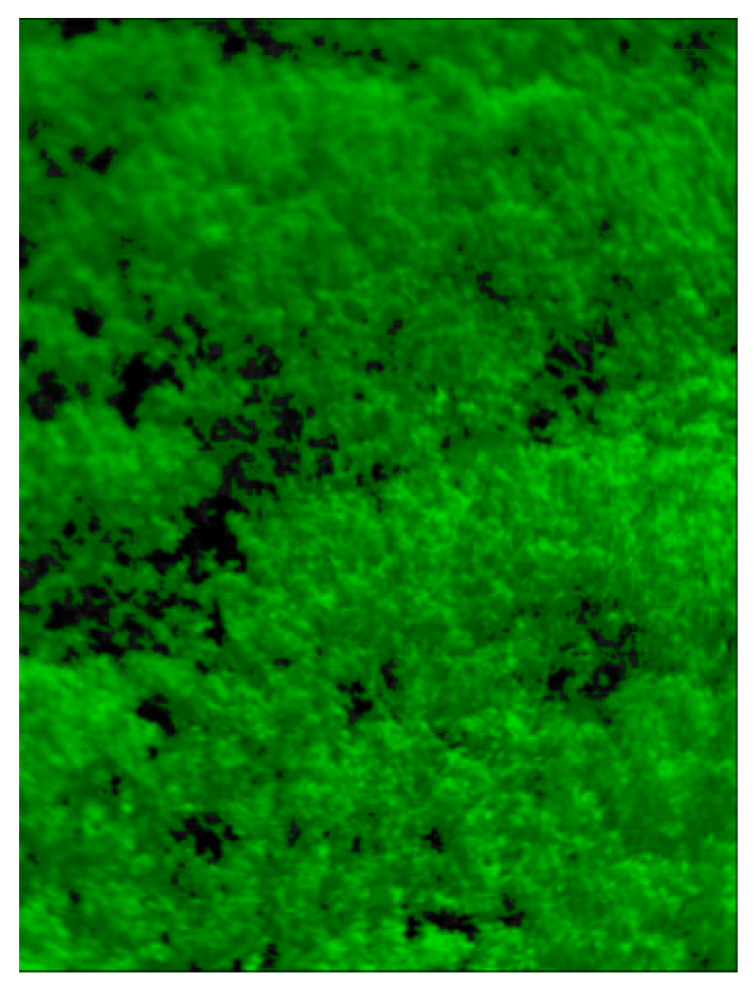 Remotesensing 13 05028 g004