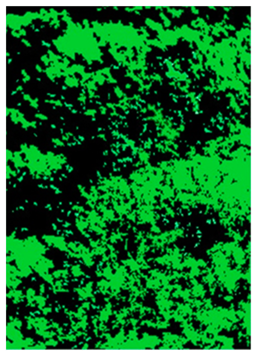 Remotesensing 13 05028 g005