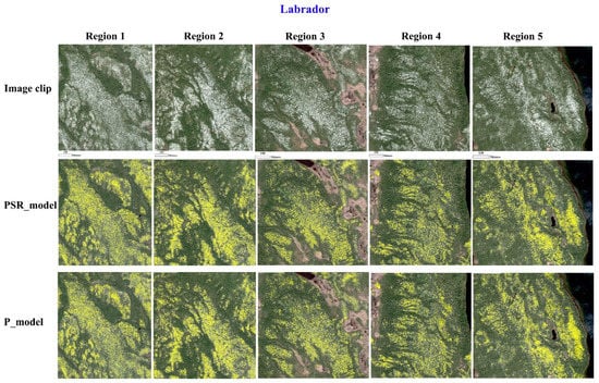 Remotesensing 13 05035 g0a2 550