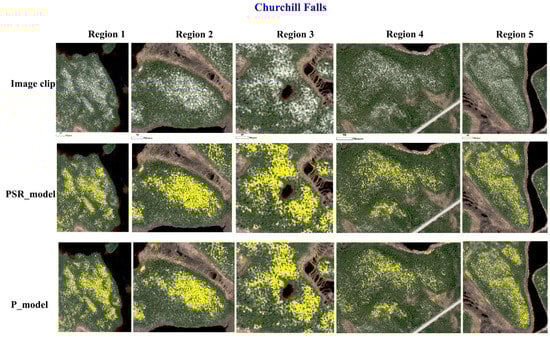 Remotesensing 13 05035 g0a3 550