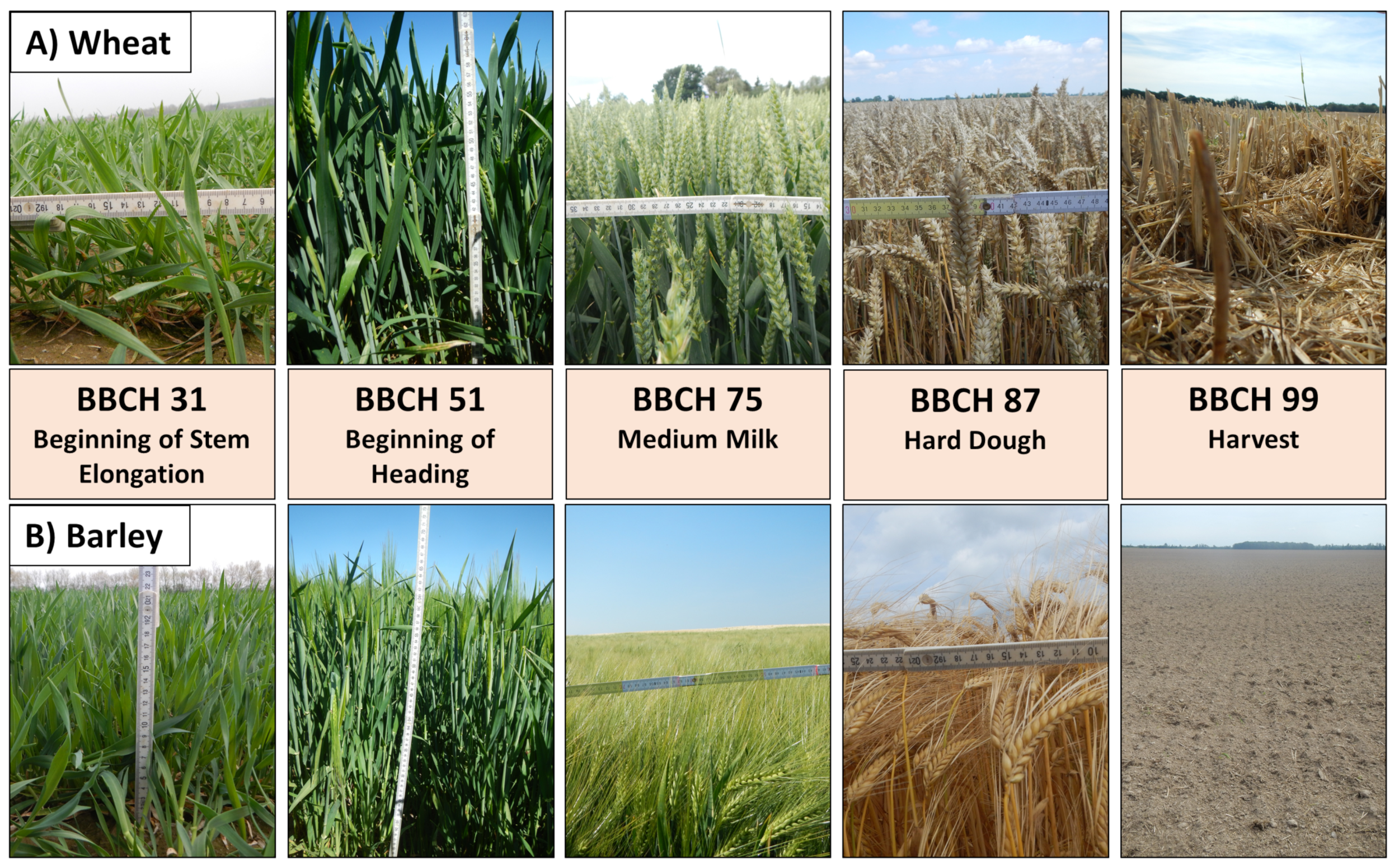 Remotesensing 13 05036 g003