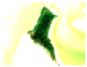 Remotesensing 13 05042 i004