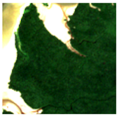 Remotesensing 13 05042 i005