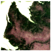 Remotesensing 13 05042 i006