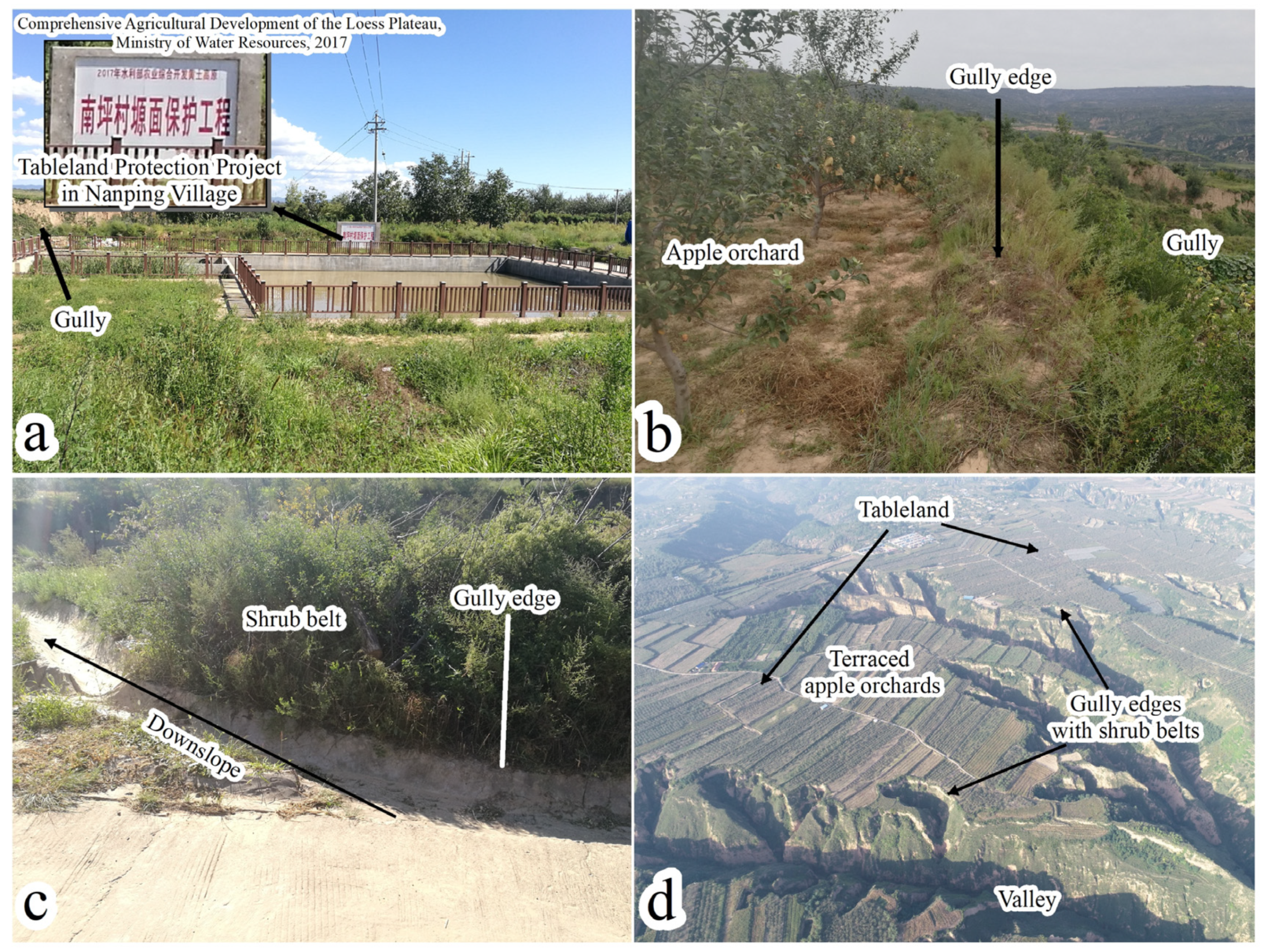 Remotesensing 13 05053 g008