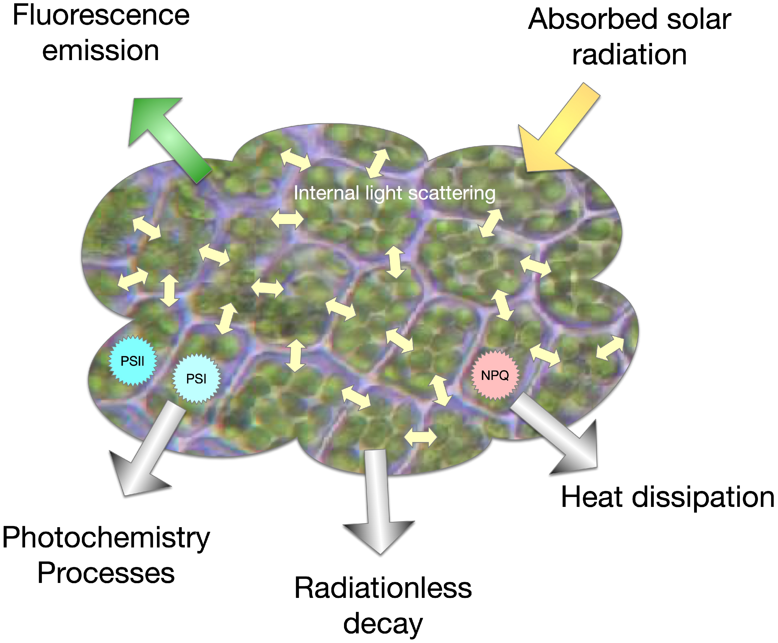 Remotesensing 13 05092 g006
