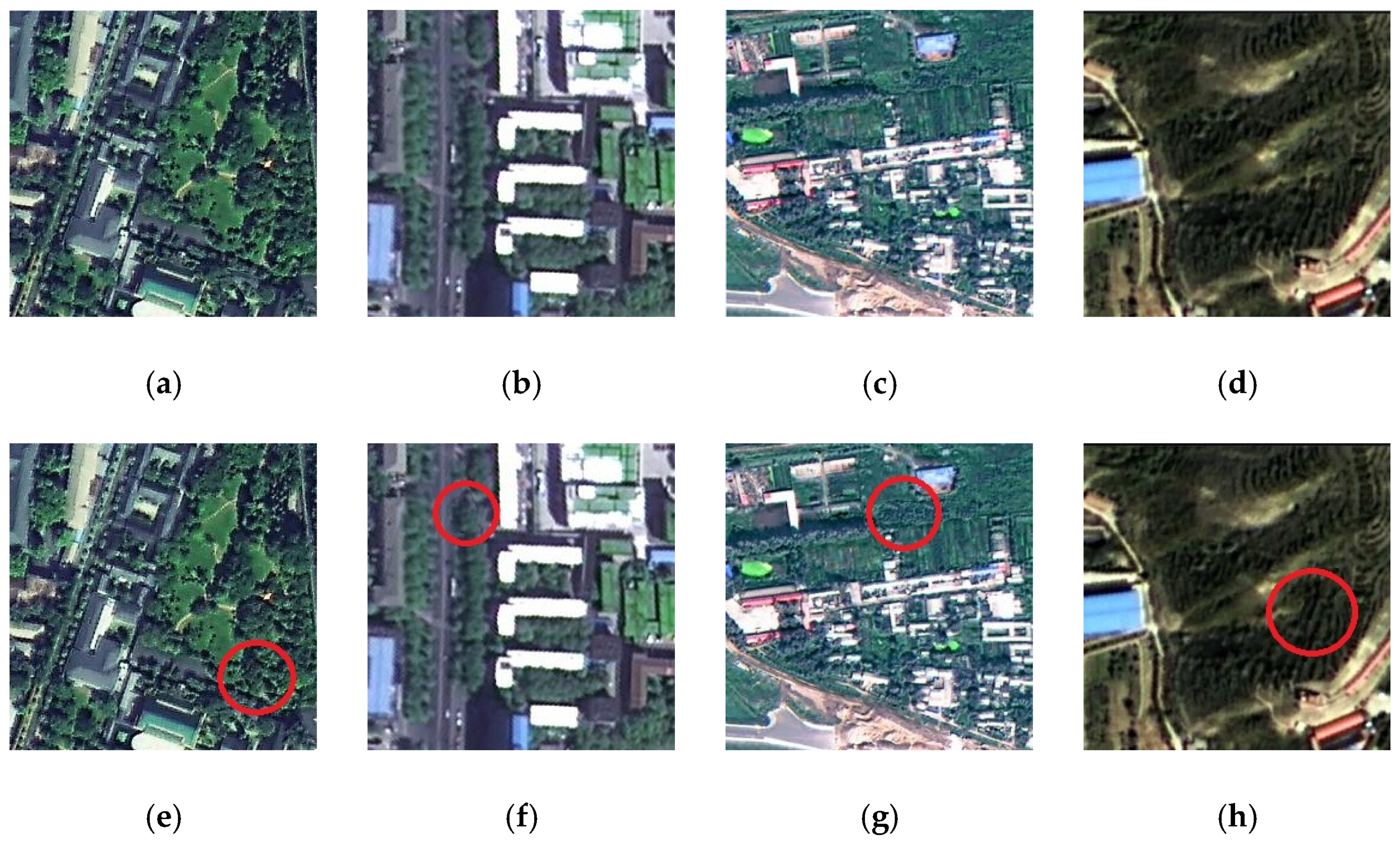 Remotesensing 13 05109 g010