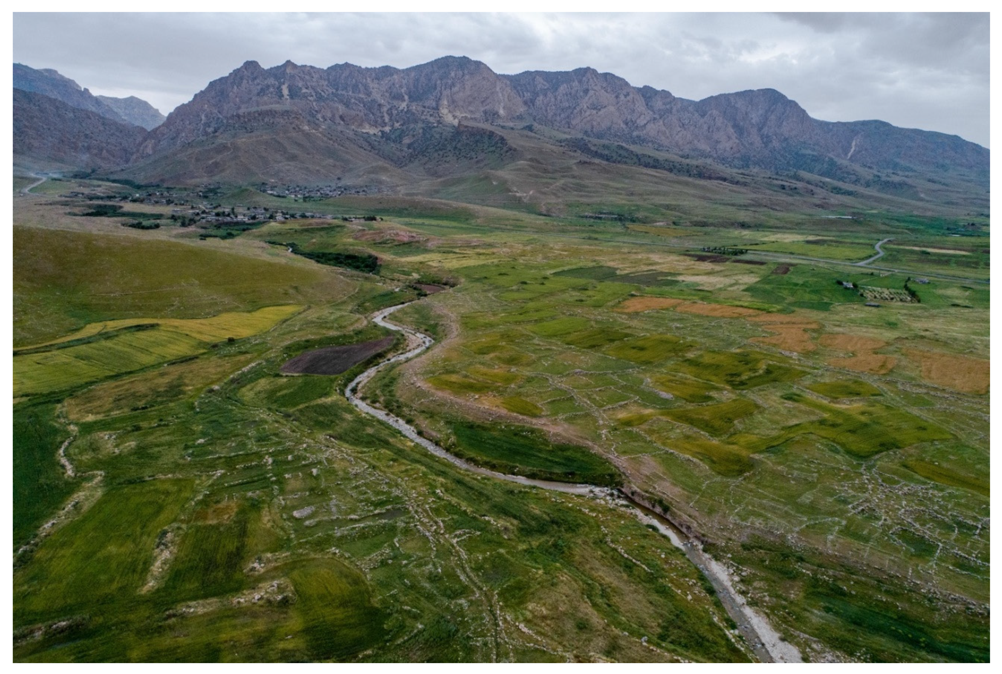 Remotesensing 13 05119 g008