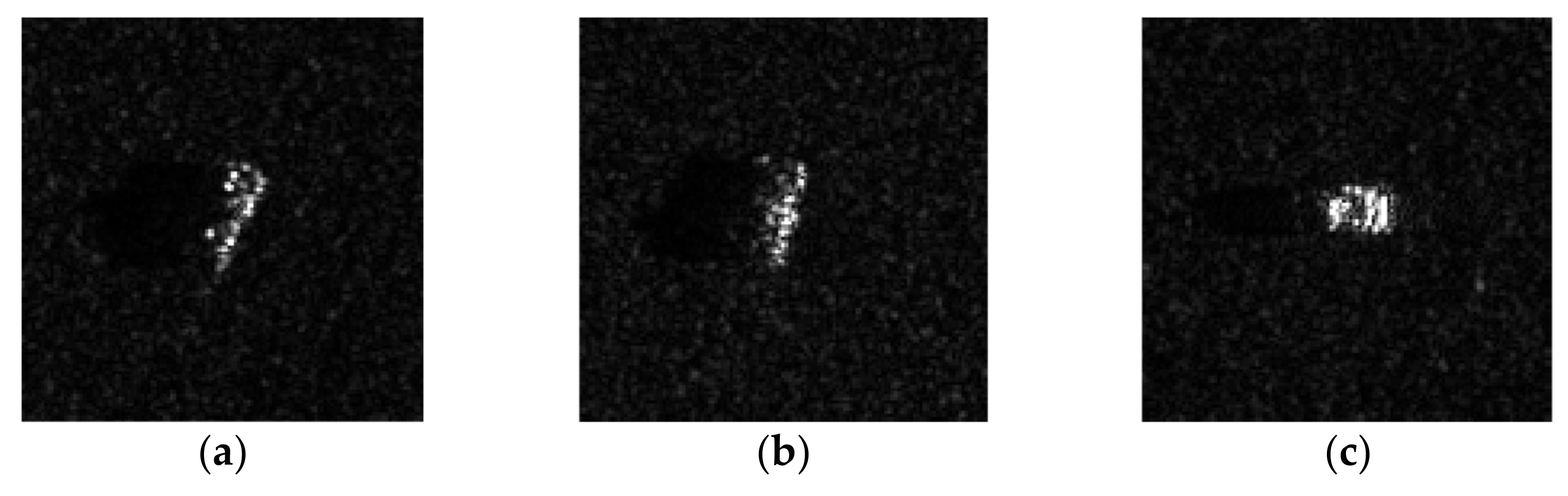 Remotesensing 13 05121 g005a