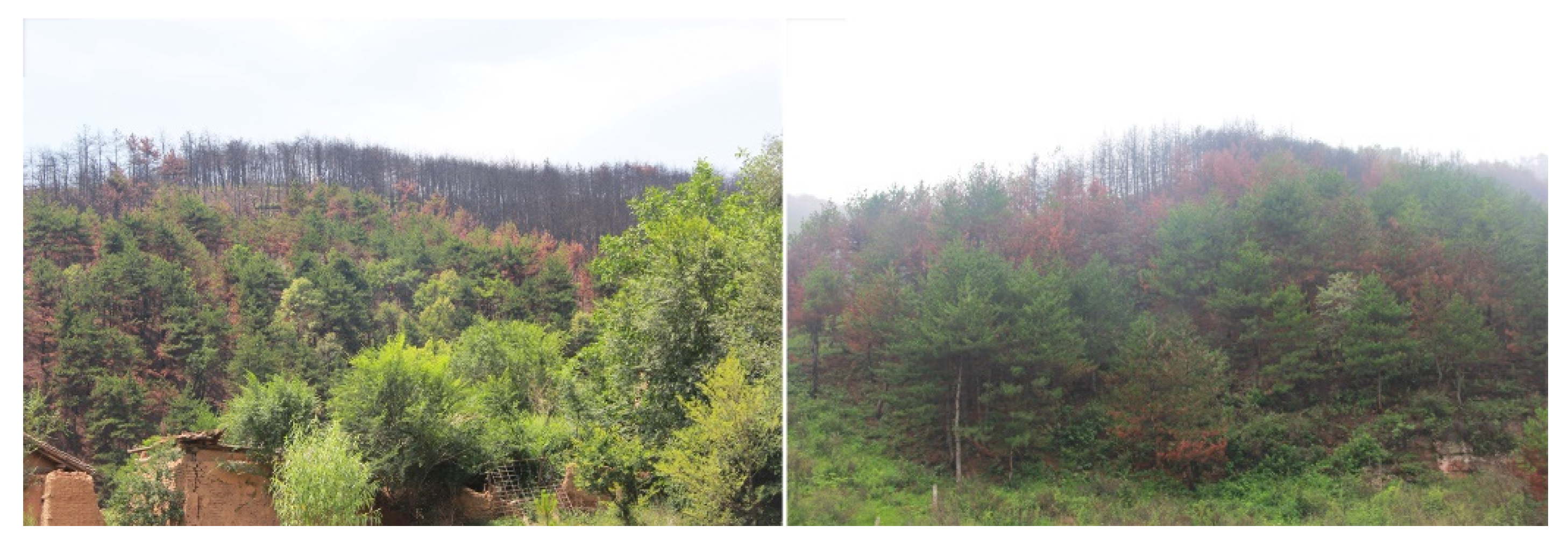 Remotesensing 13 05127 g006