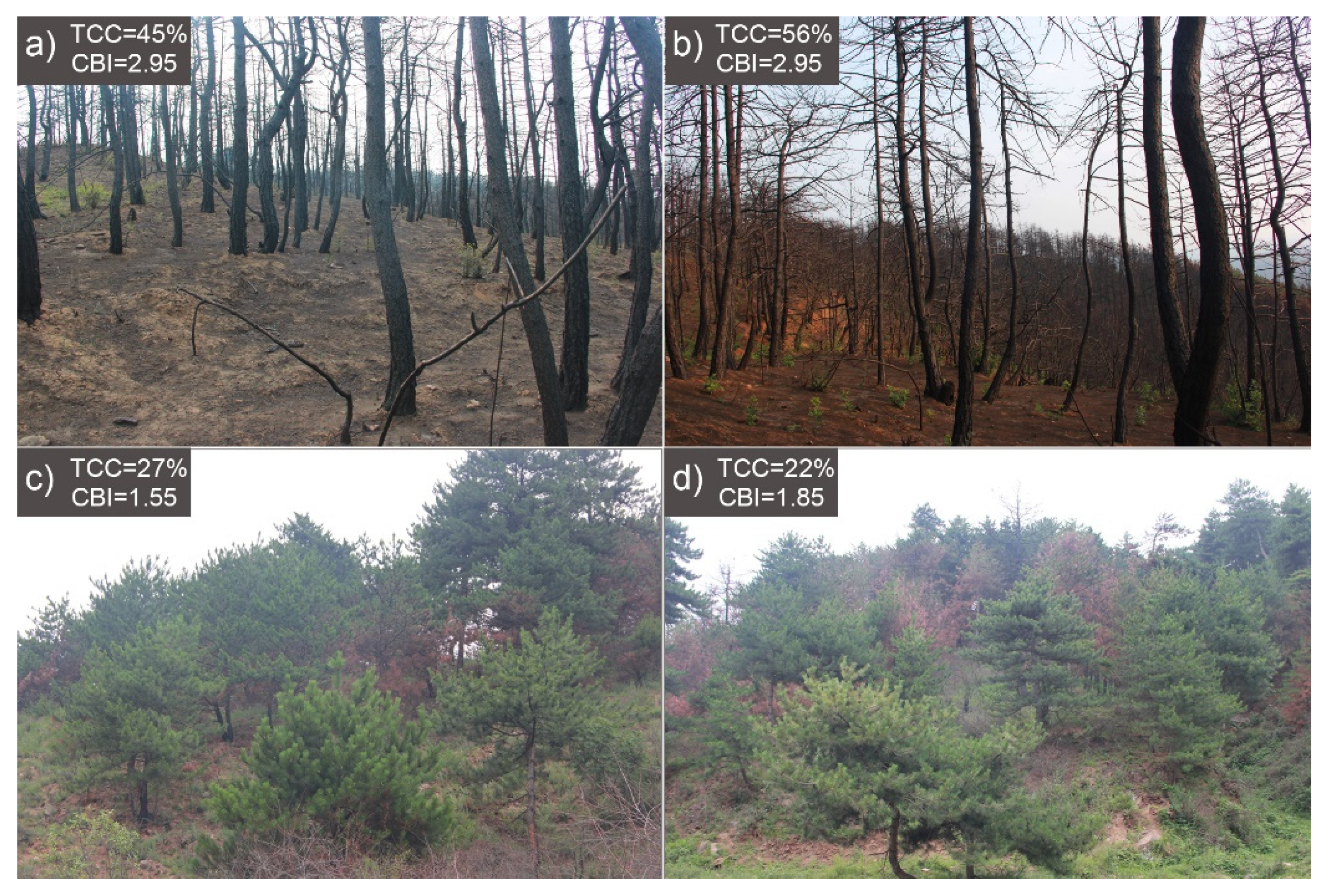 Remotesensing 13 05127 g011