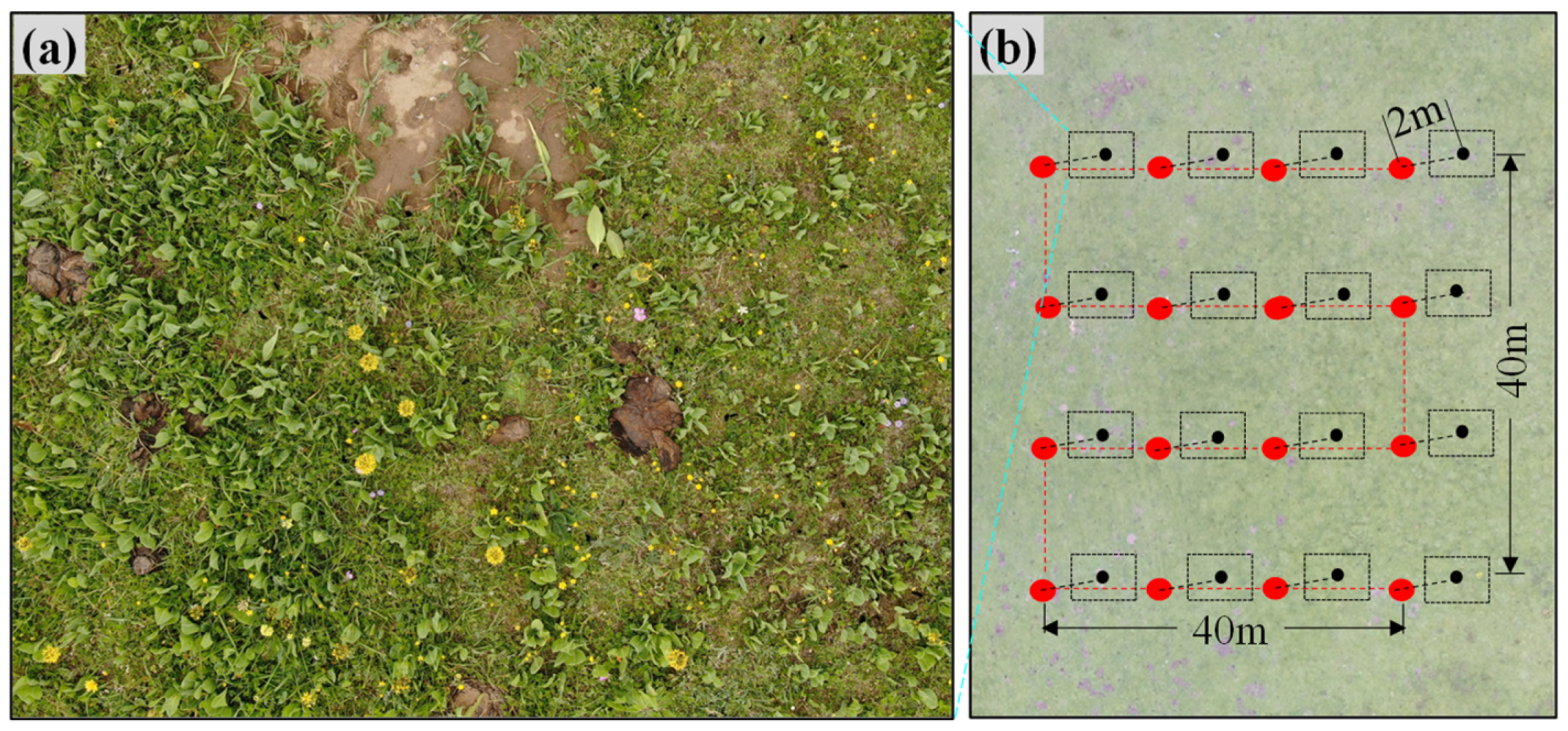 Remotesensing 13 05129 g002