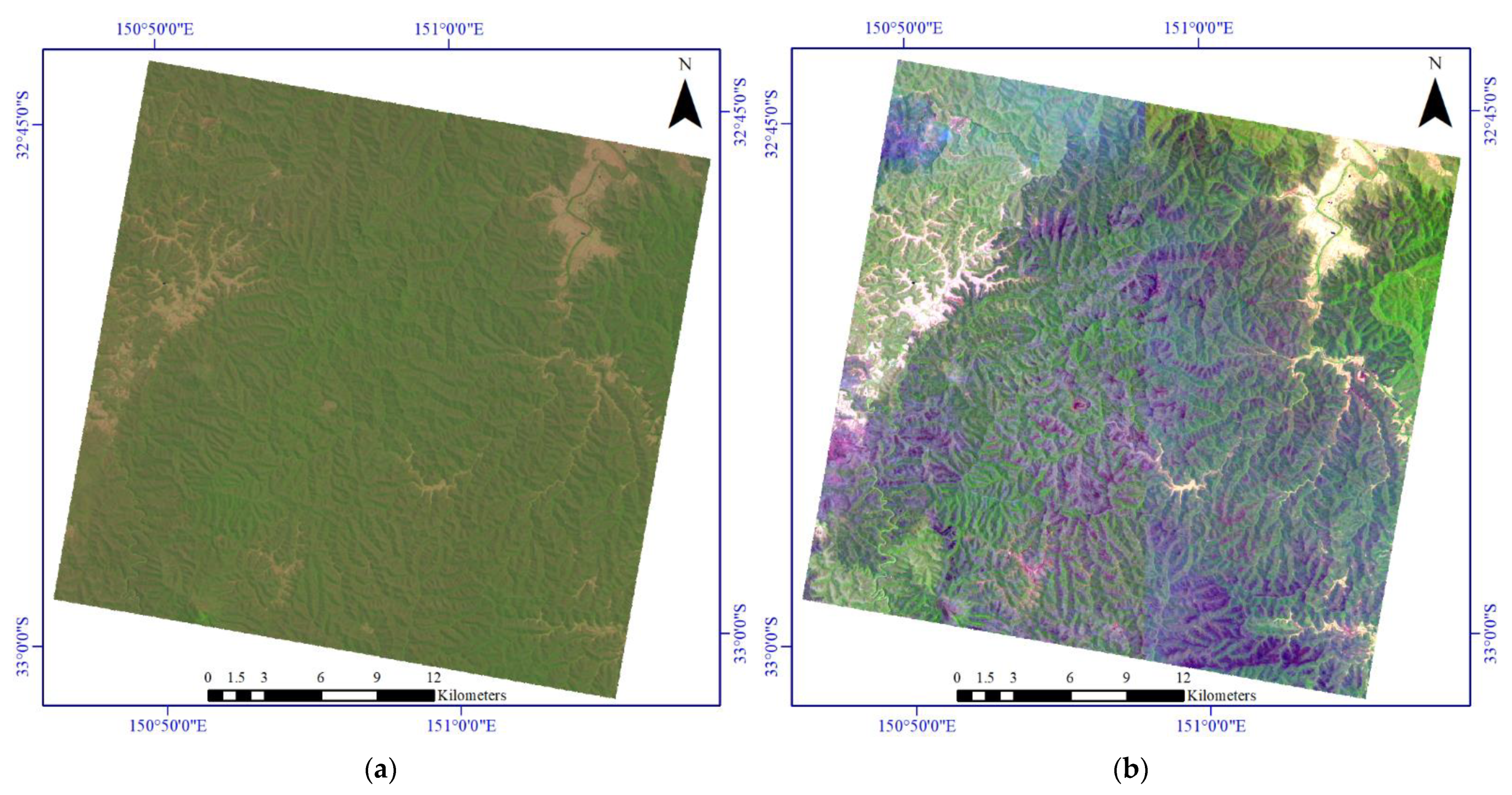 Remotesensing 13 05138 g004a
