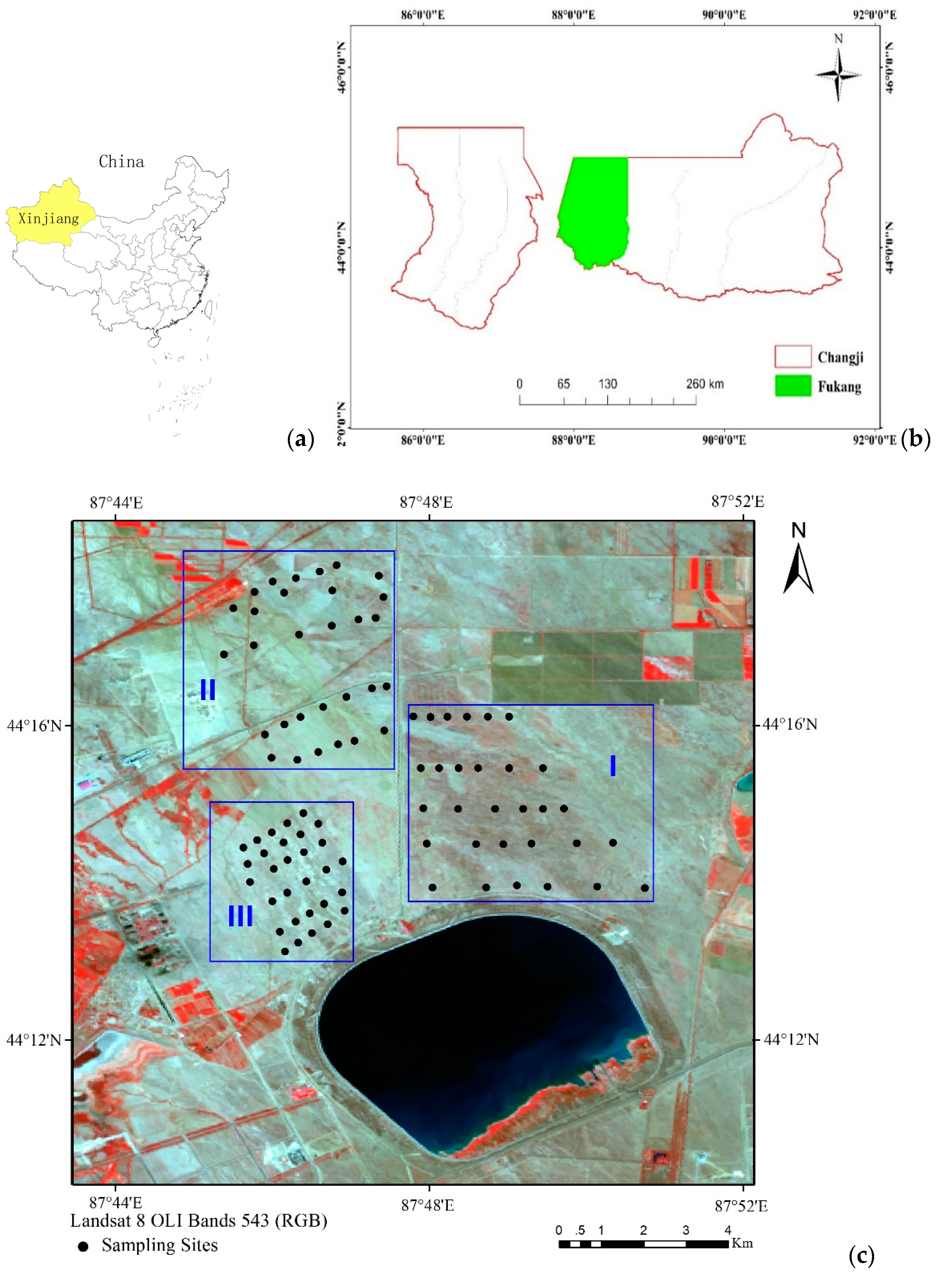 Remotesensing 13 05140 g001