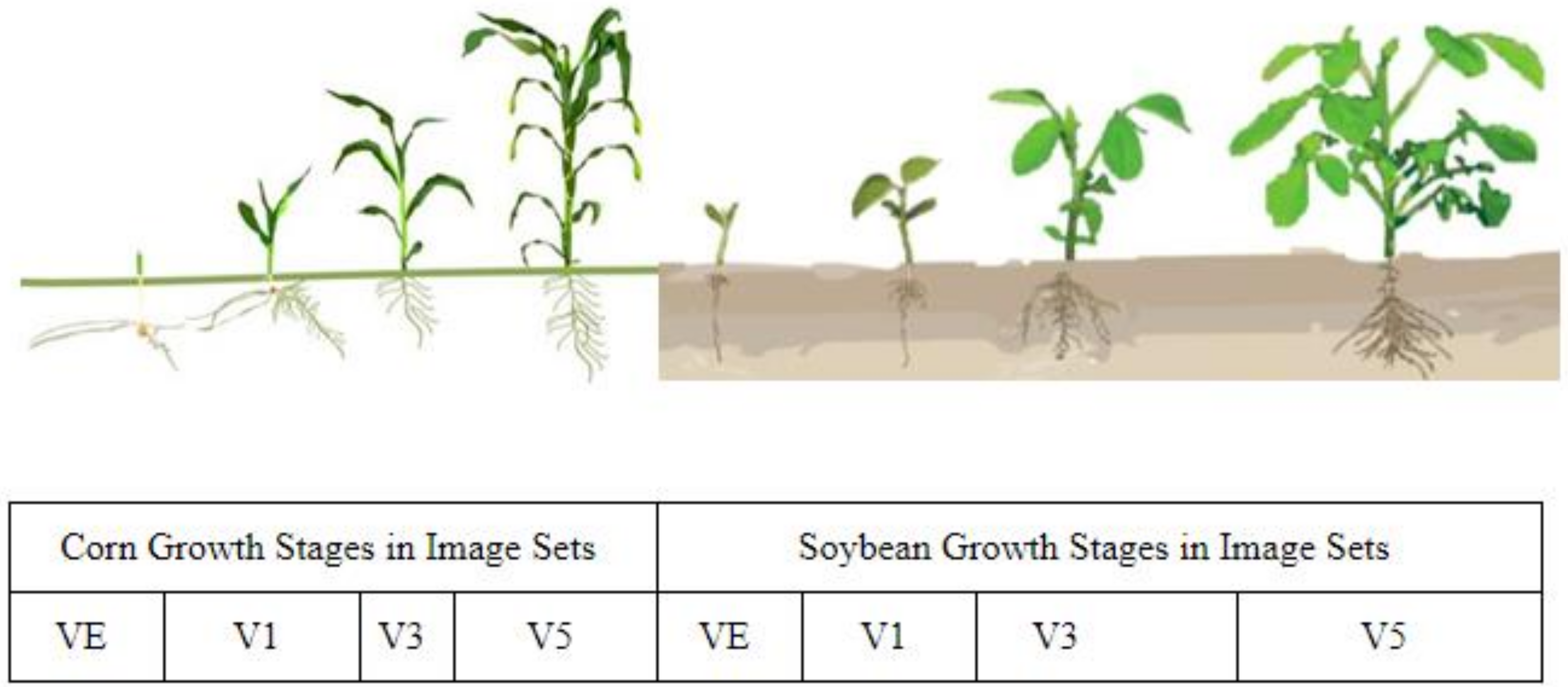 Remotesensing 13 05182 g002