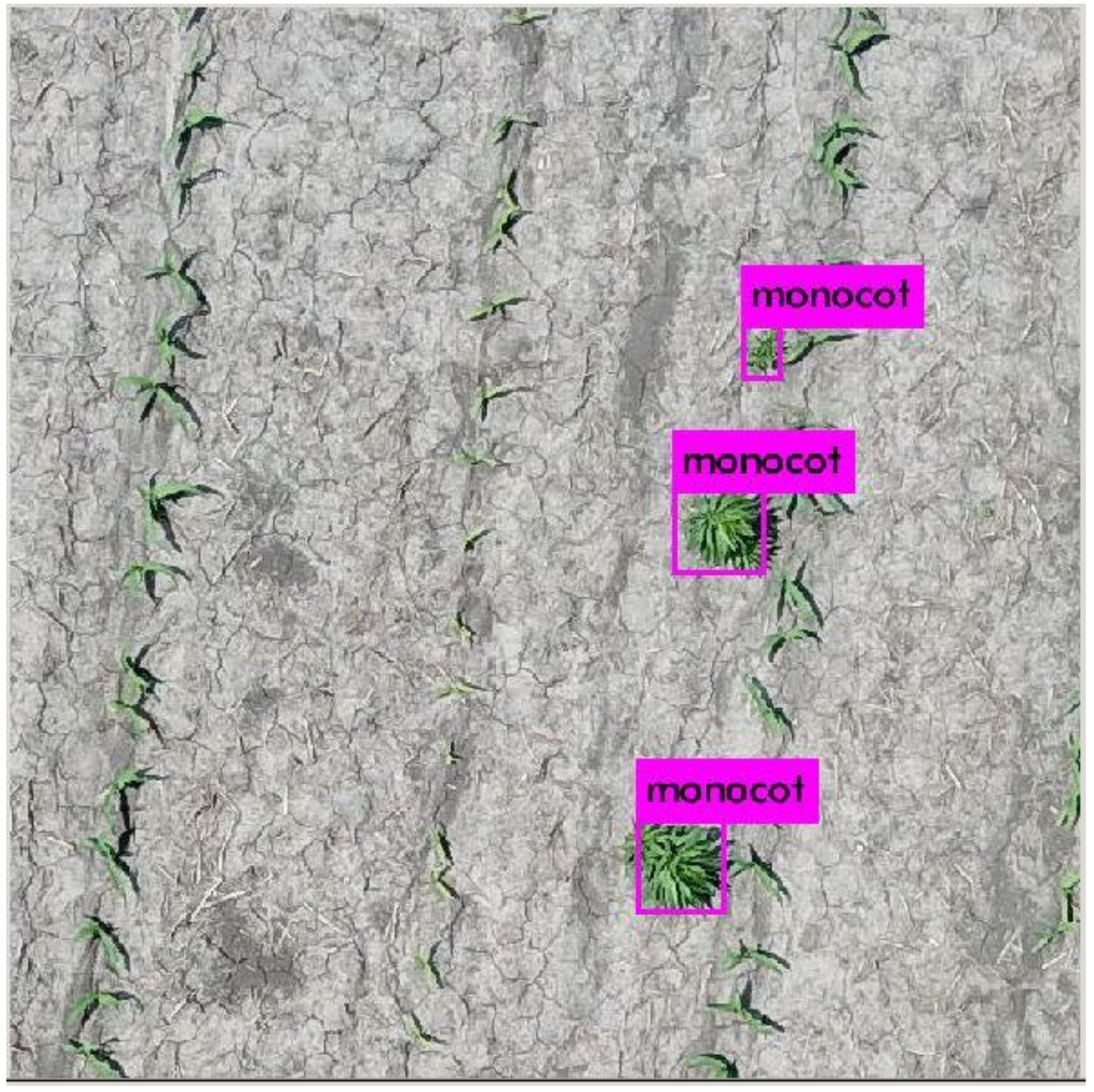 Remotesensing 13 05182 g009