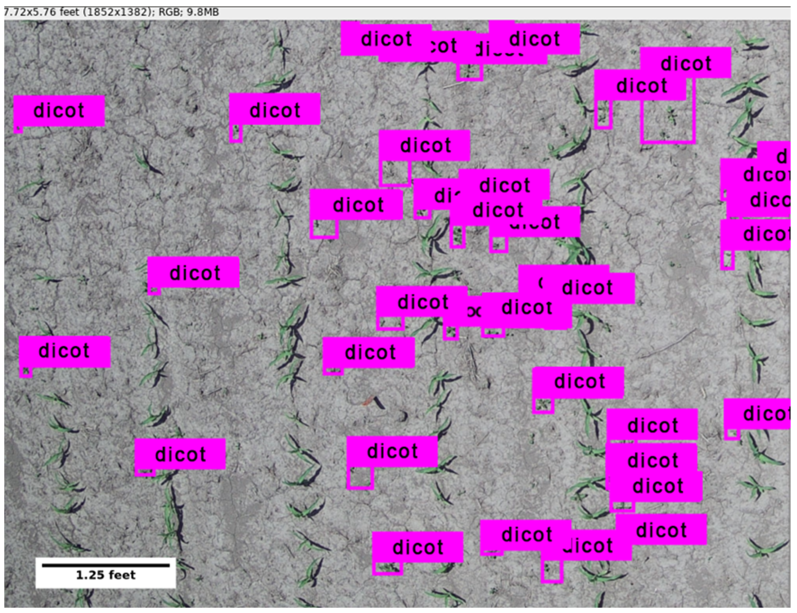 Remotesensing 13 05182 g010