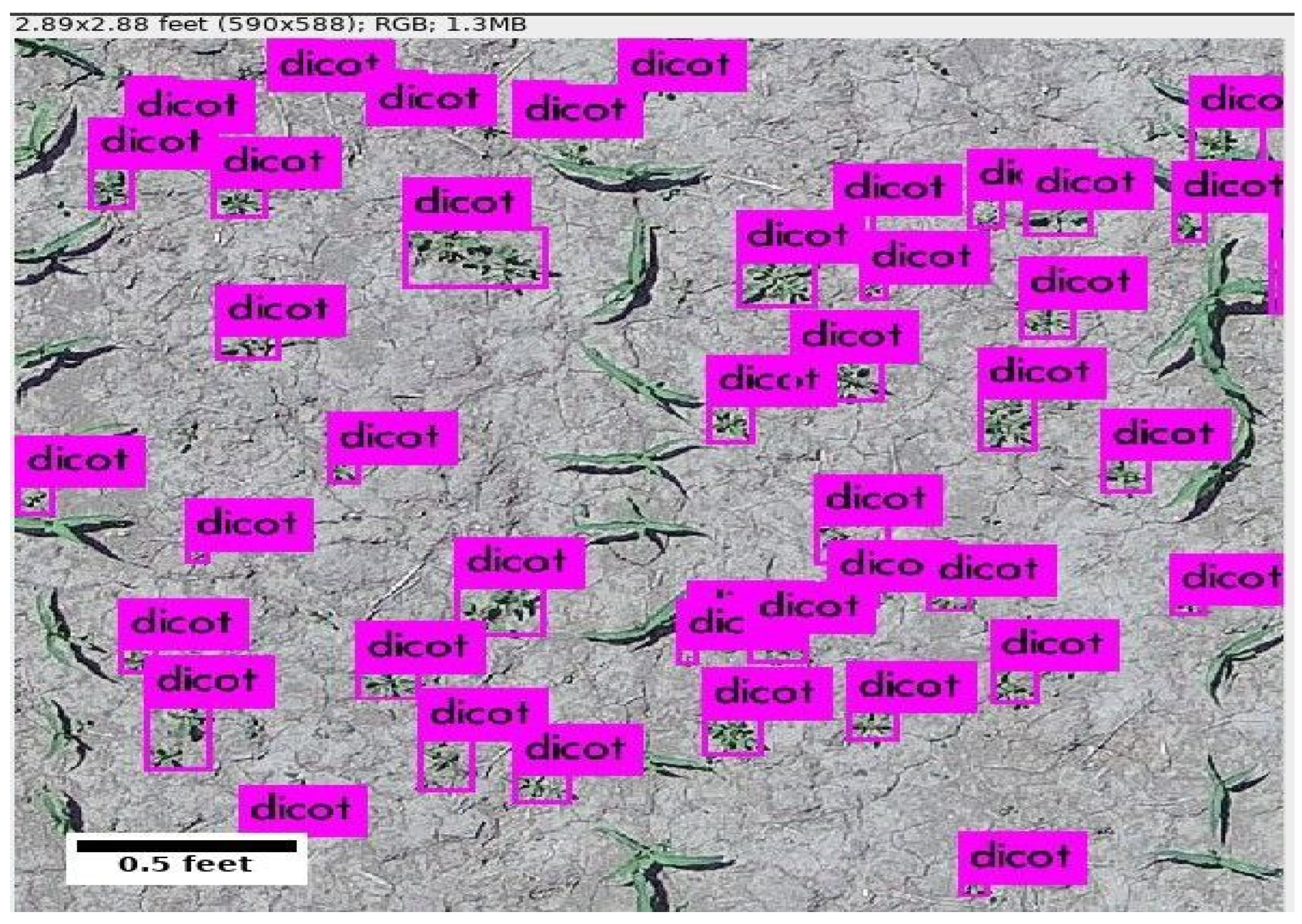 Remotesensing 13 05182 g011