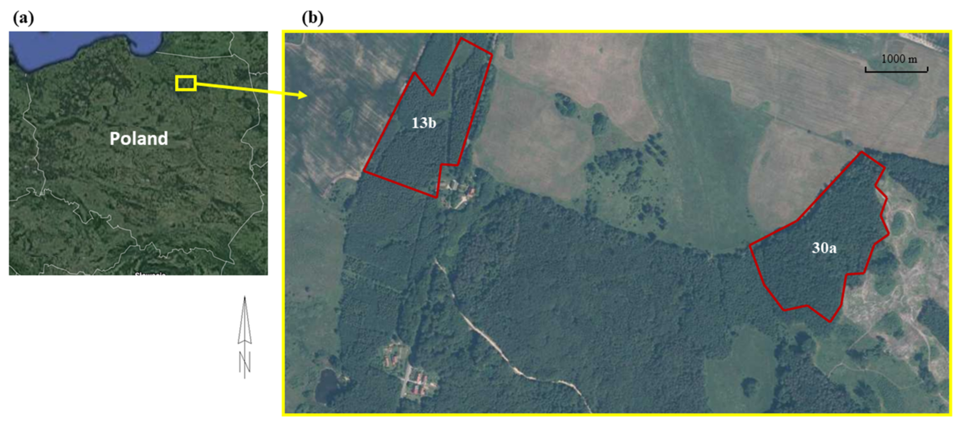 Remotesensing 14 00016 g001