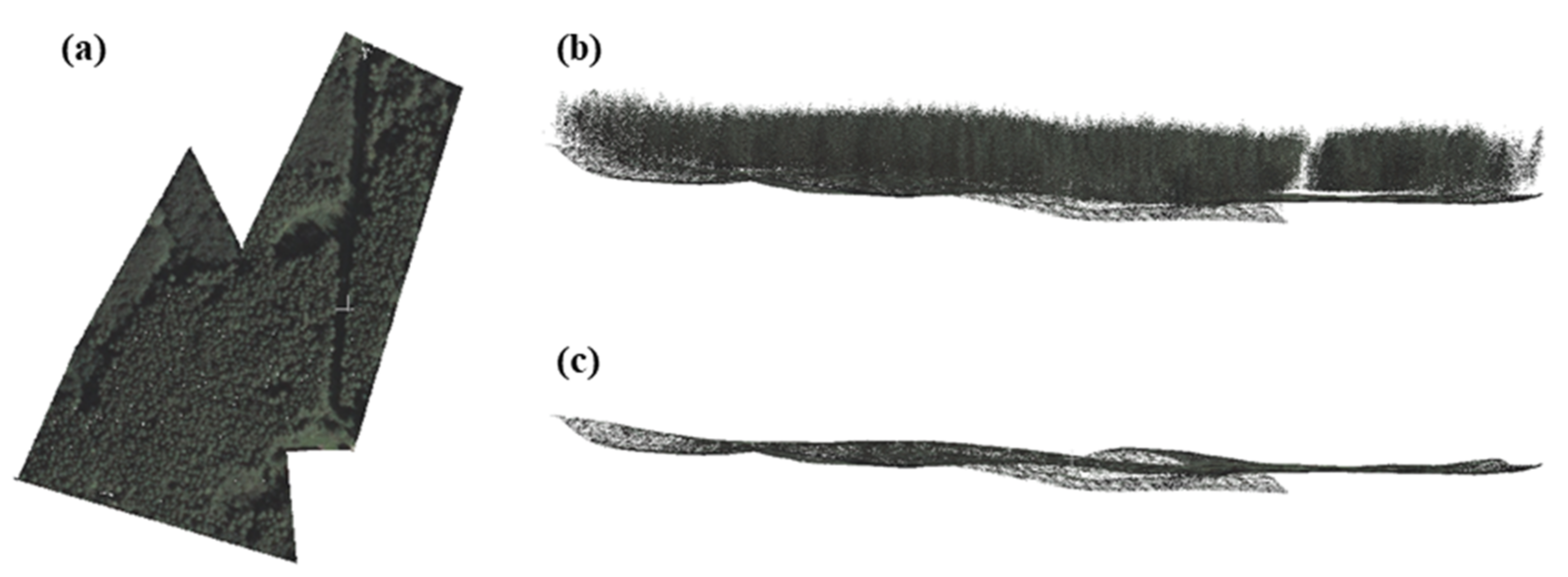 Remotesensing 14 00016 g004