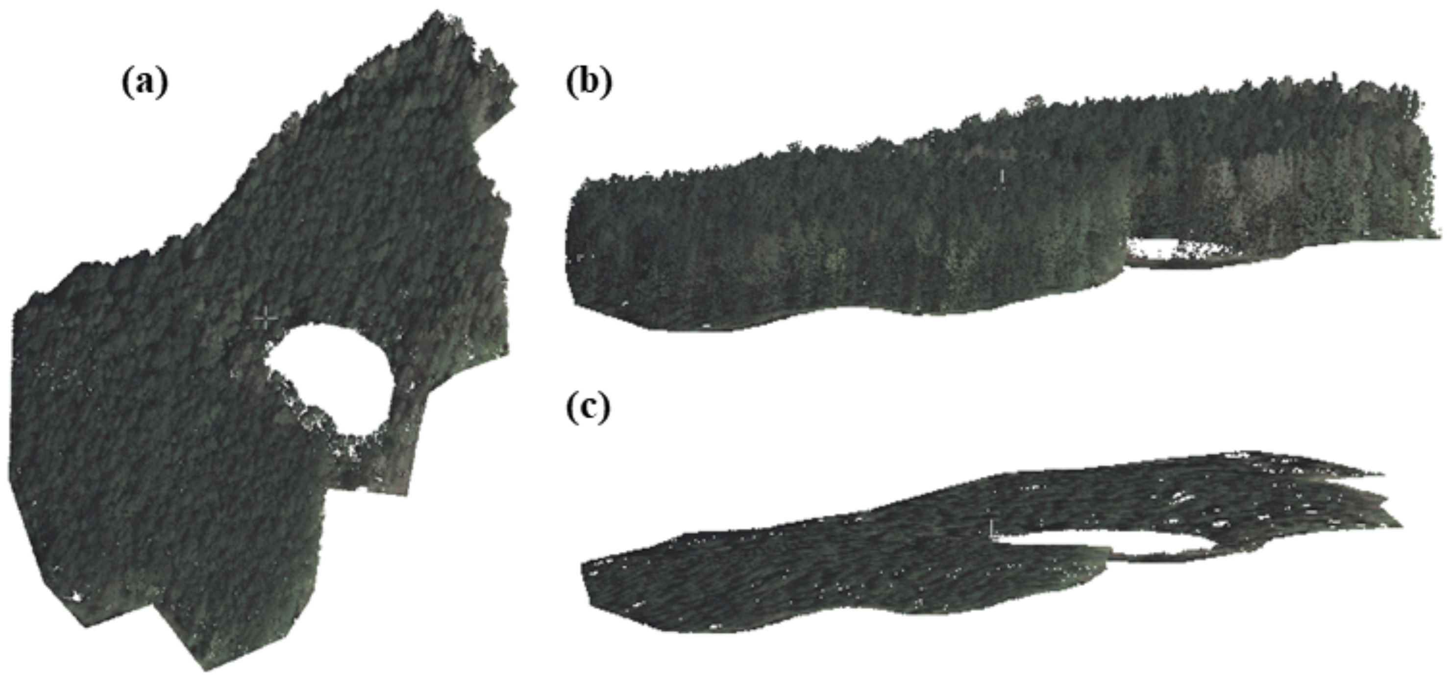 Remotesensing 14 00016 g005