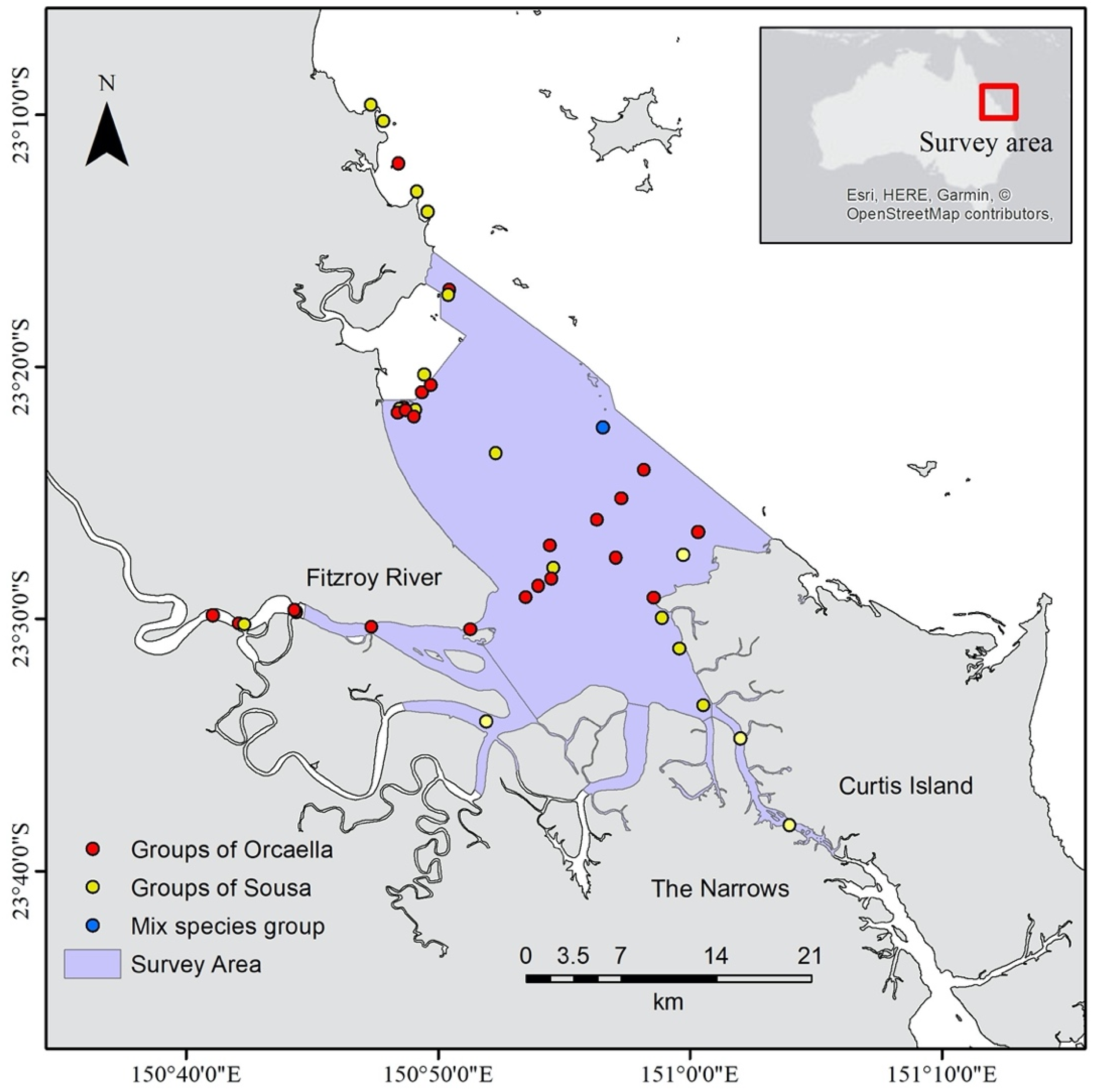 Remotesensing 14 00021 g001