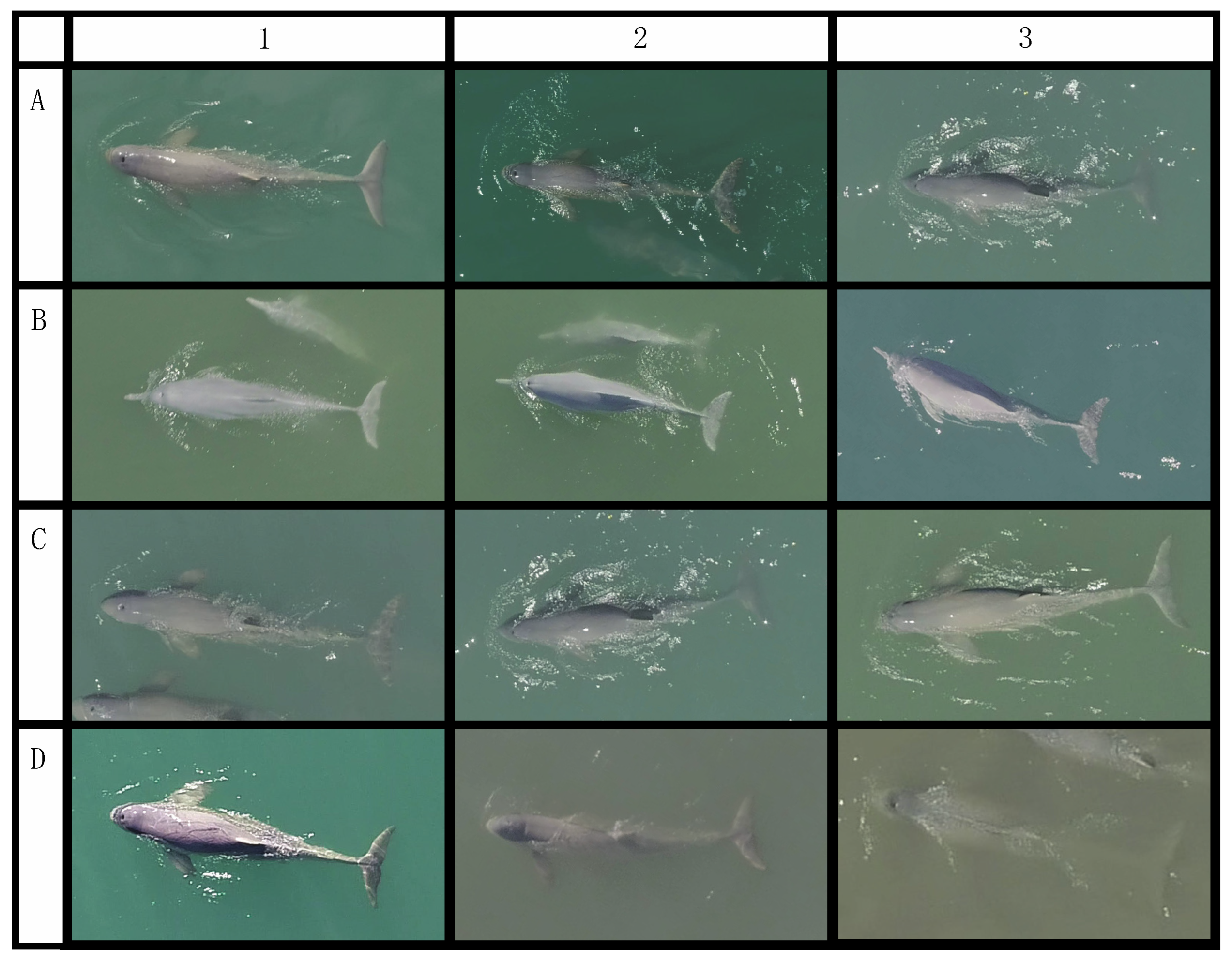 Remotesensing 14 00021 g002