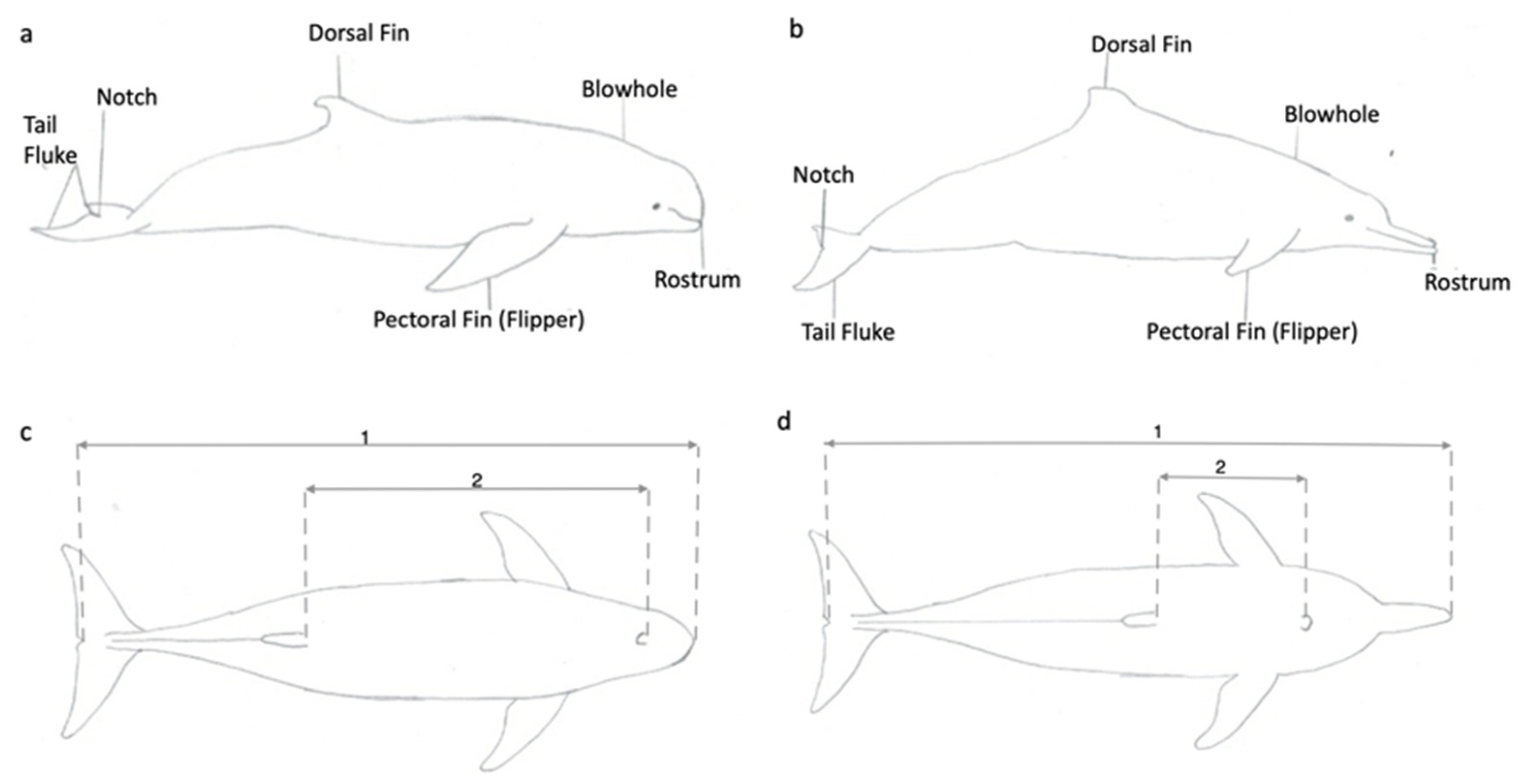 Remotesensing 14 00021 g003