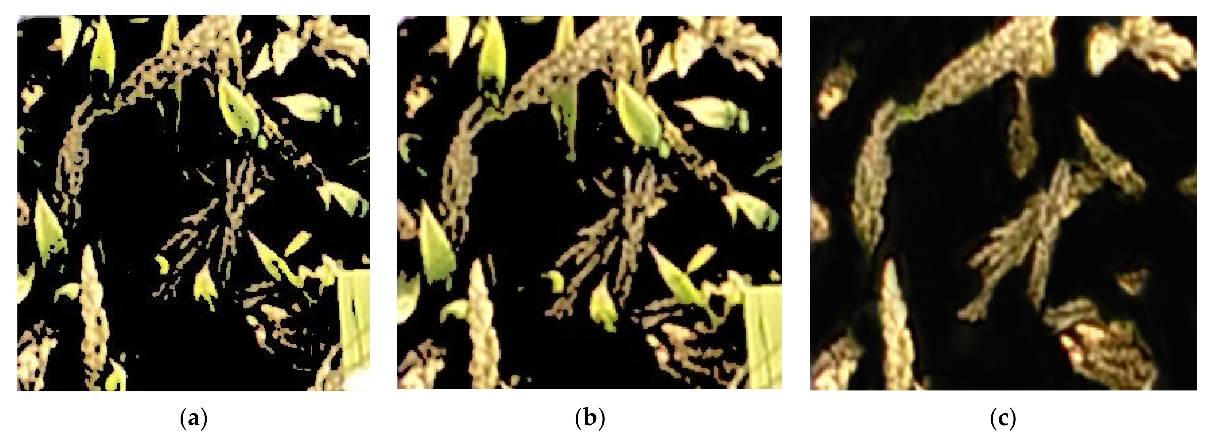 Remotesensing 14 00046 g007 Remotesensing 14 00046 g007