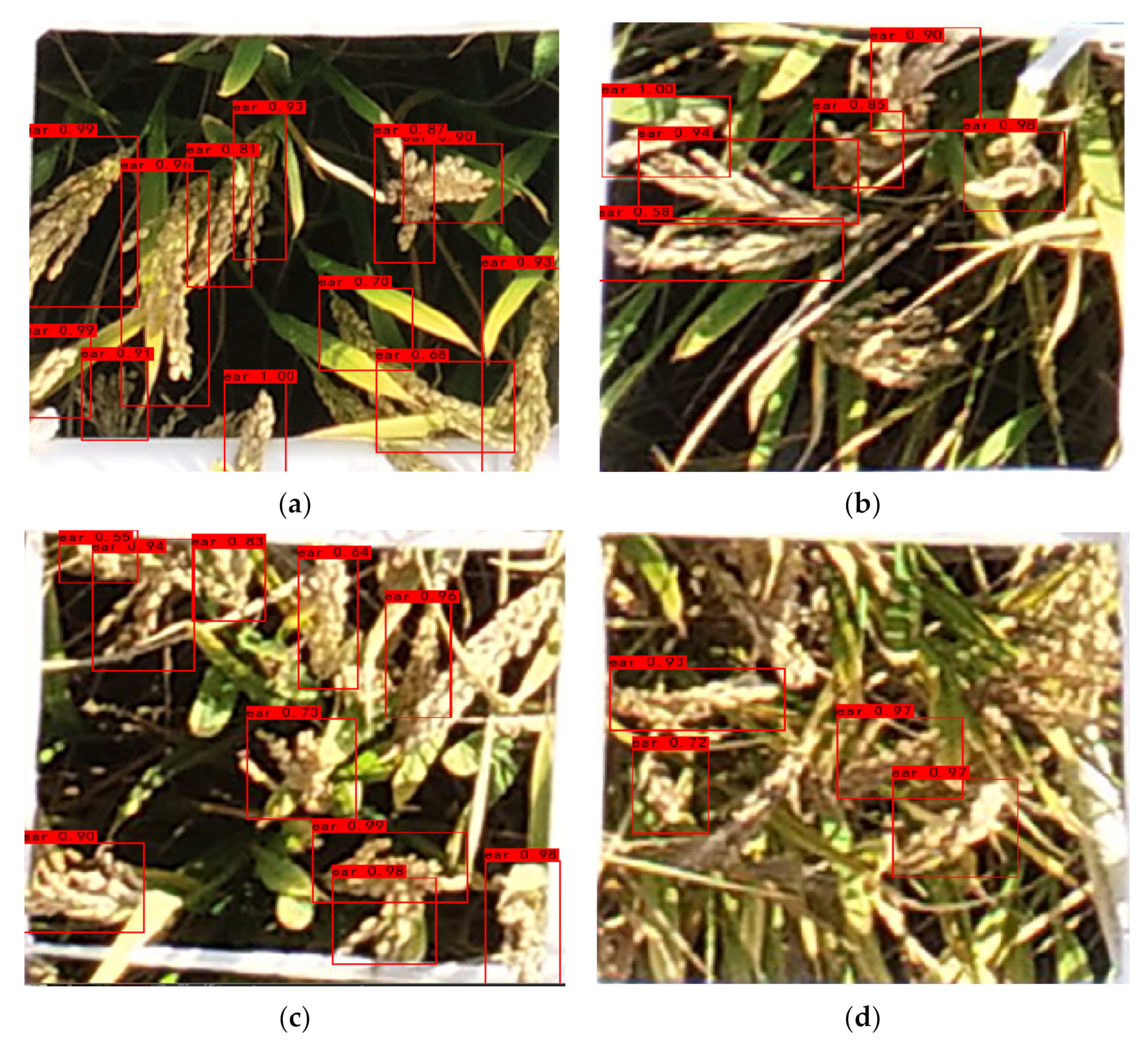 Remotesensing 14 00046 g011 Remotesensing 14 00046 g011