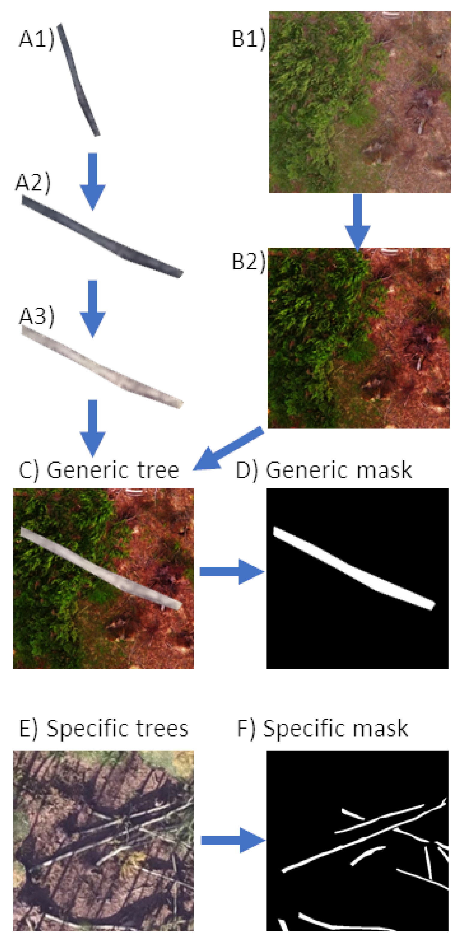 Remotesensing 14 00075 g003