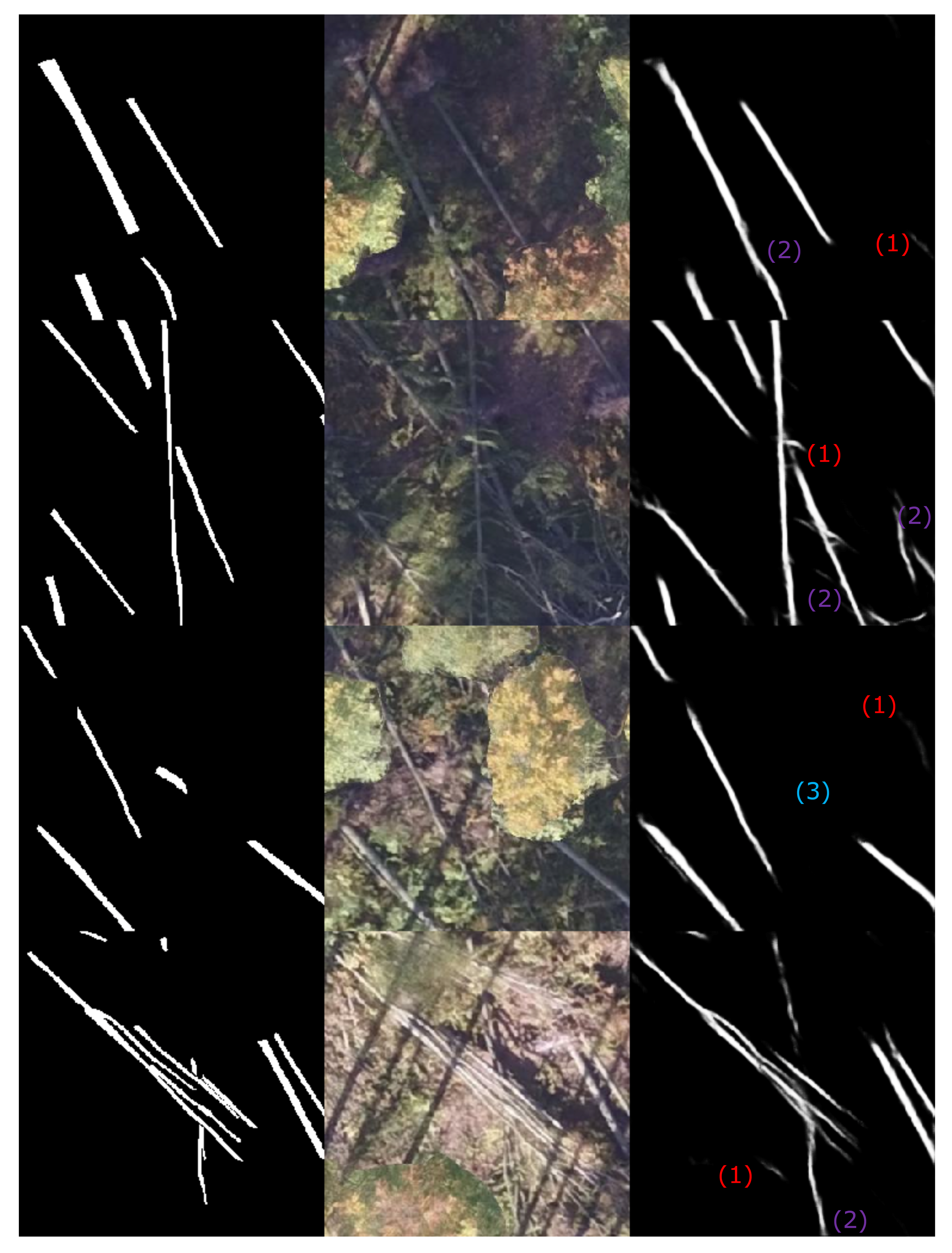 Remotesensing 14 00075 g008