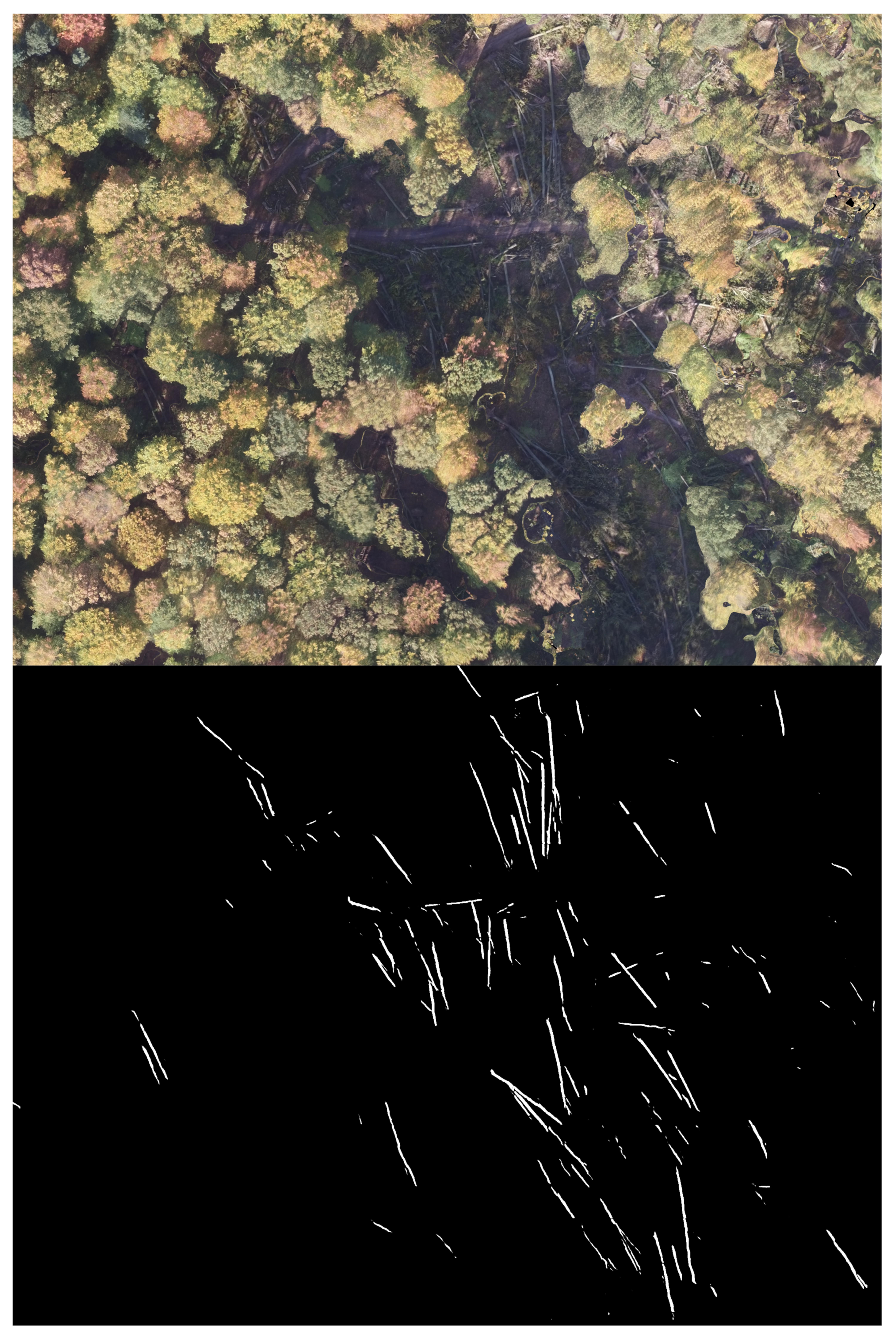 Remotesensing 14 00075 g012