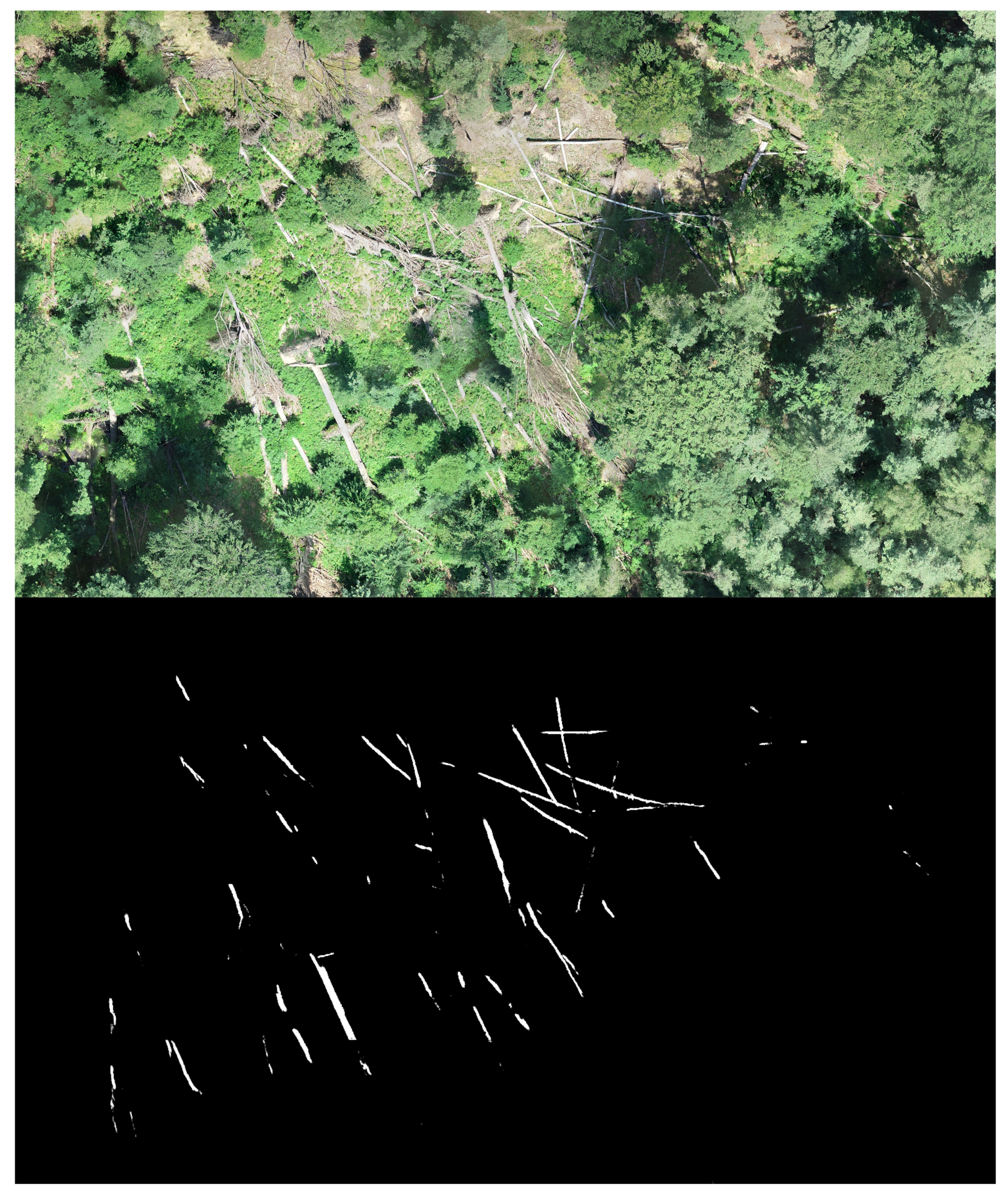 Remotesensing 14 00075 g013