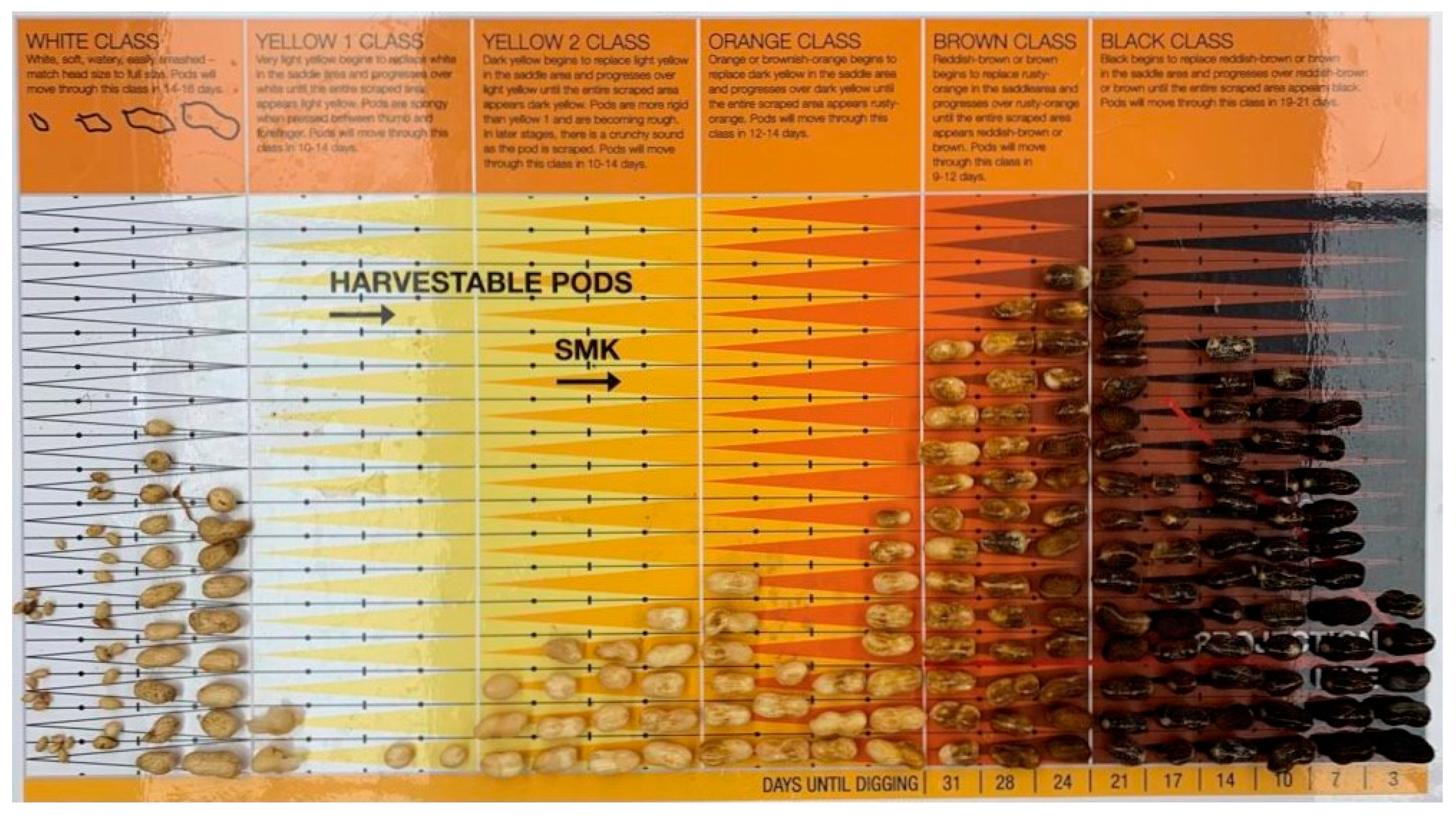 Remotesensing 14 00093 g003