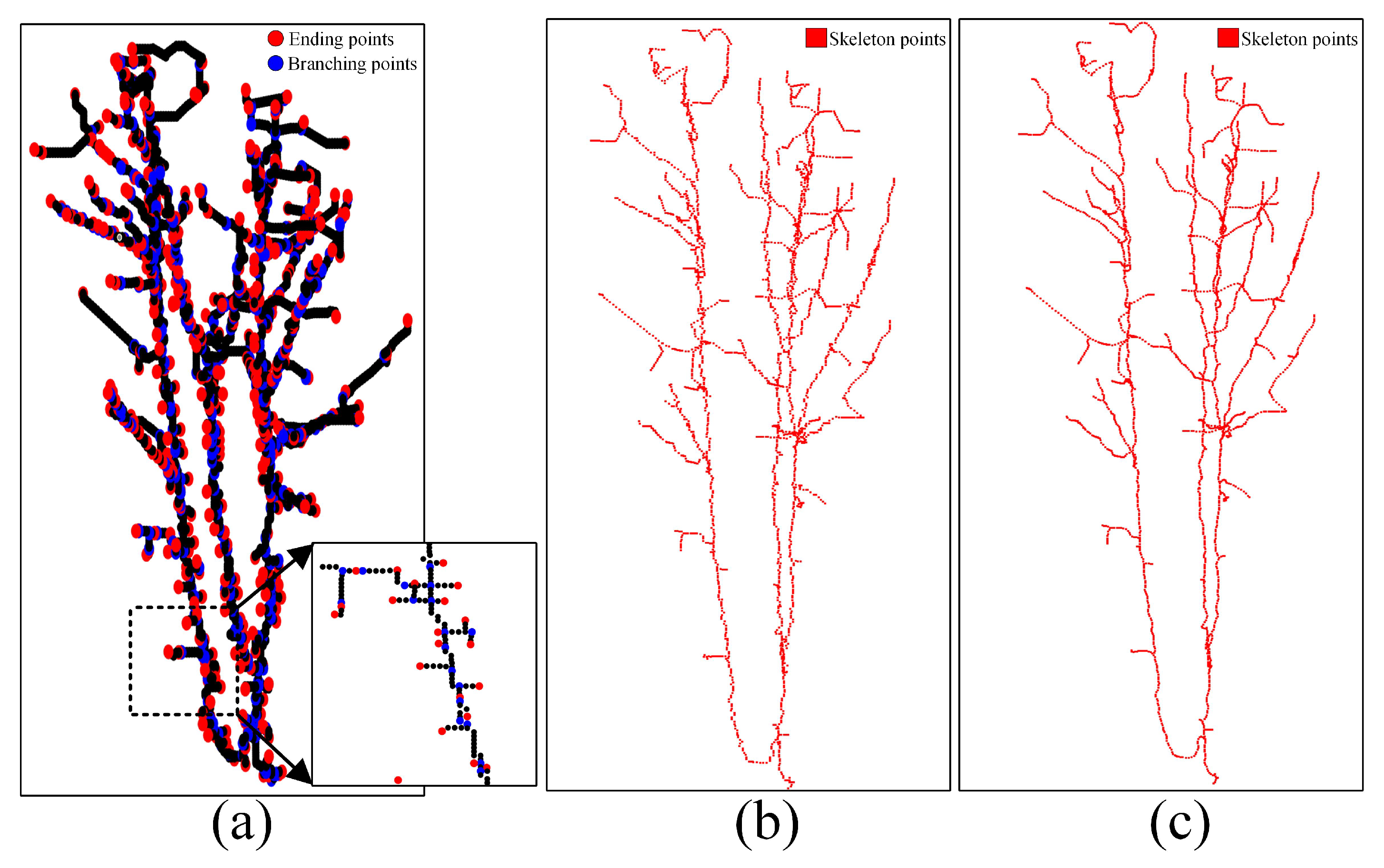 Remotesensing 14 00094 g005