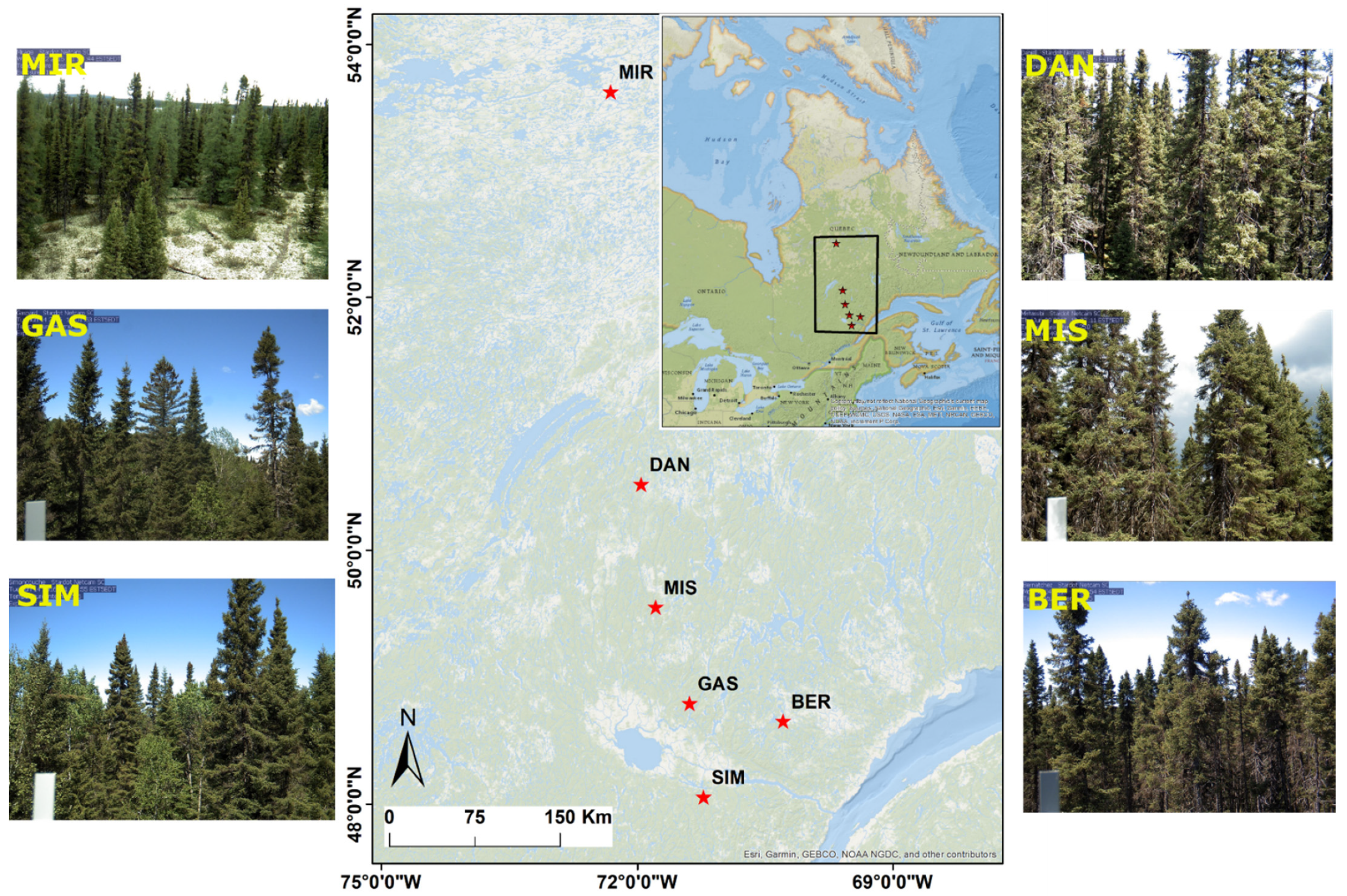 Remotesensing 14 00100 g001