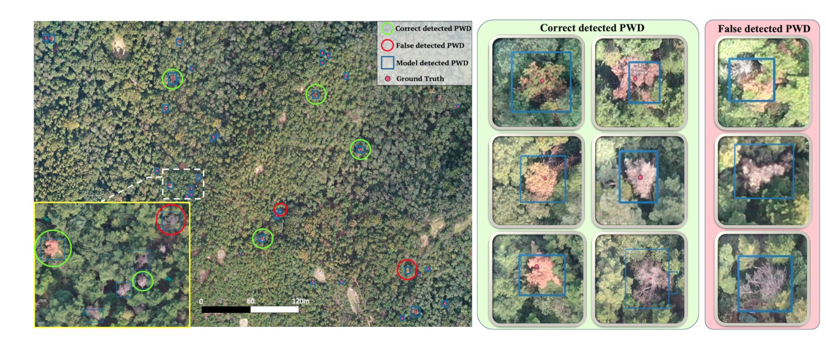 Remotesensing 14 00150 g007 Remotesensing 14 00150 g007
