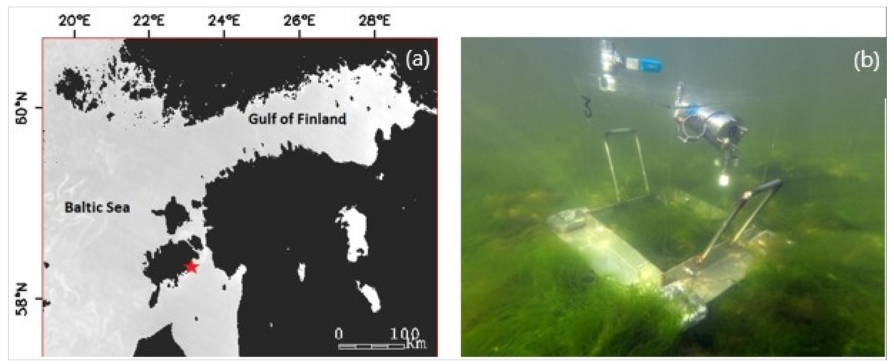 Remotesensing 14 00158 g001