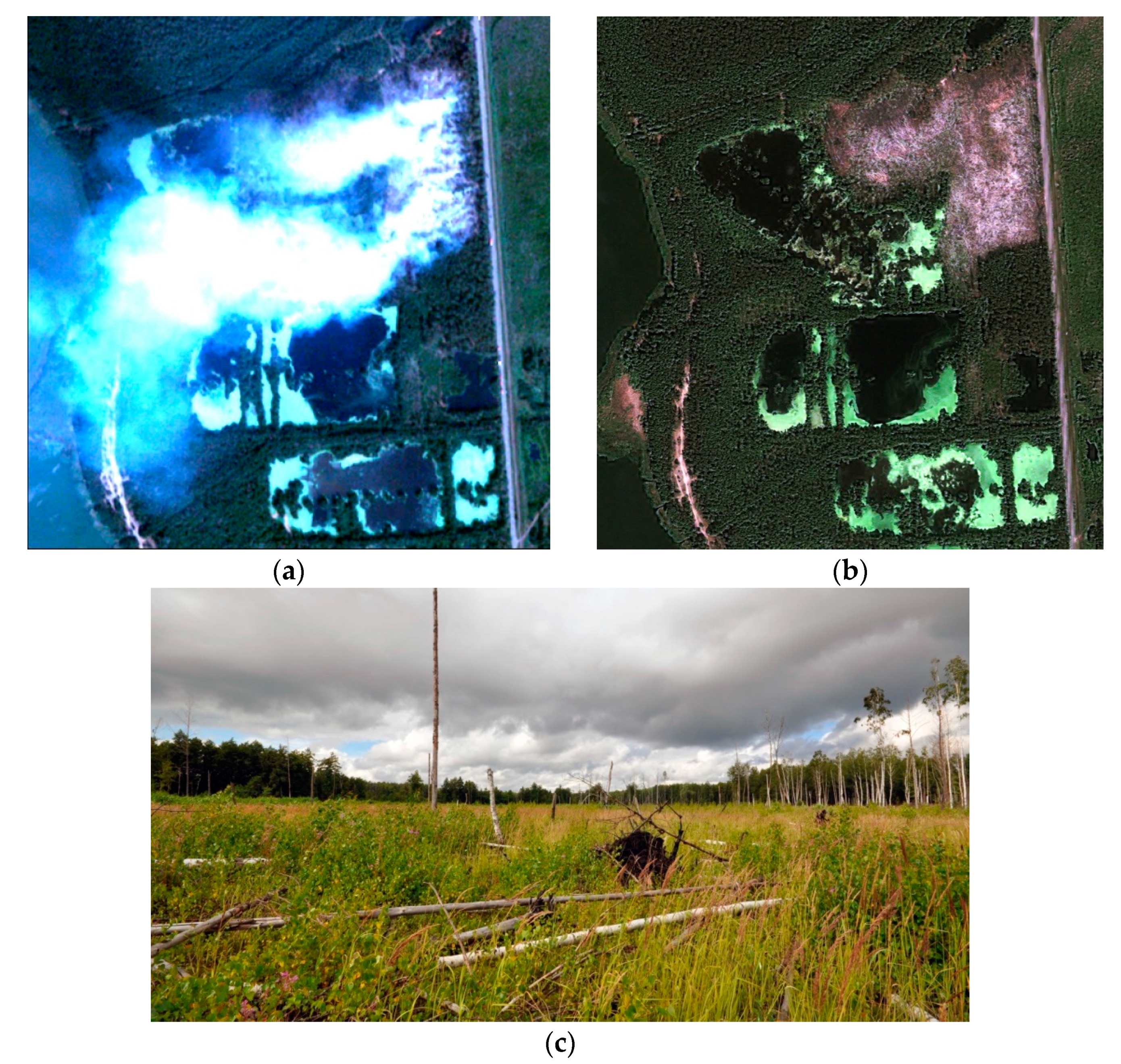 Remotesensing 14 00194 g001 Remotesensing 14 00194 g001