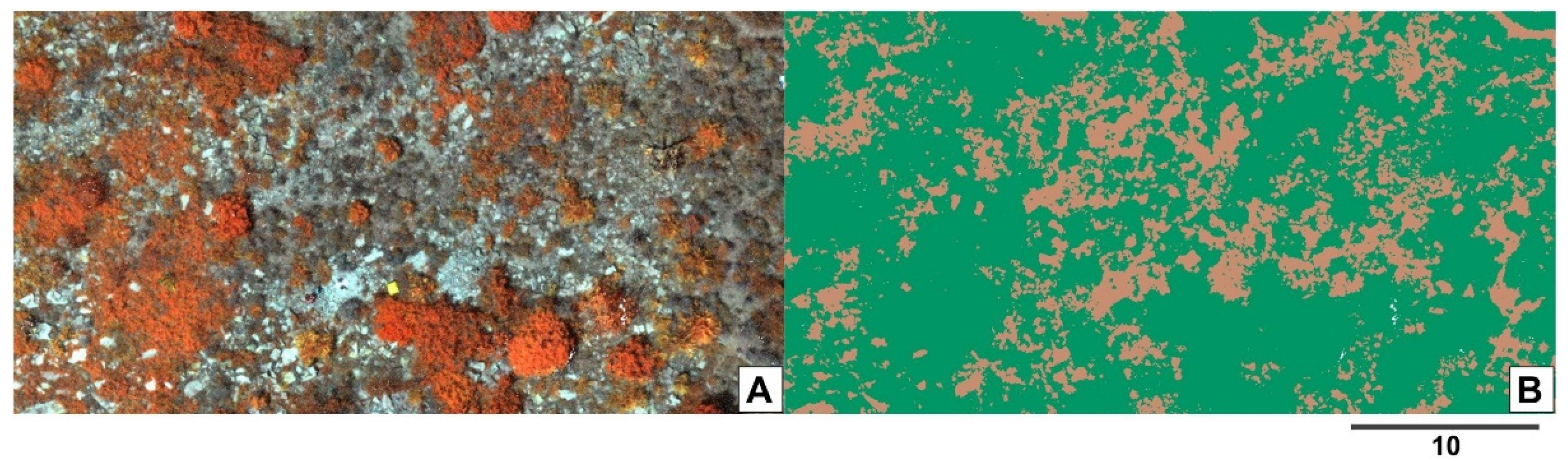 Remotesensing 14 00199 g003