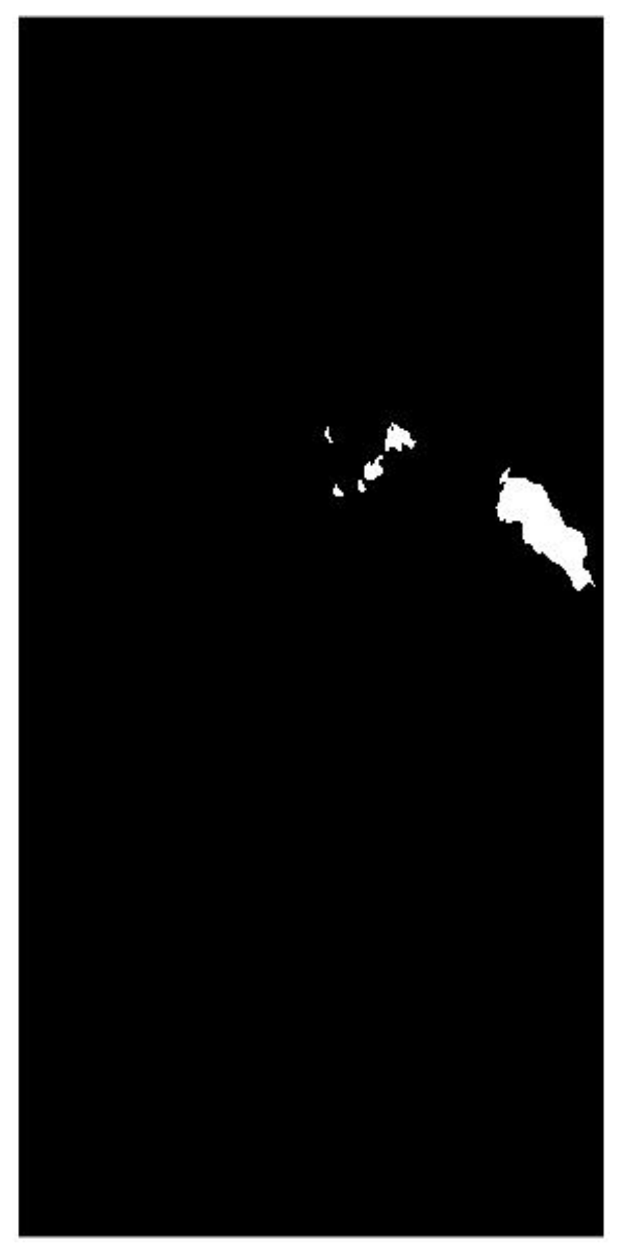 Remotesensing 14 00264 g011