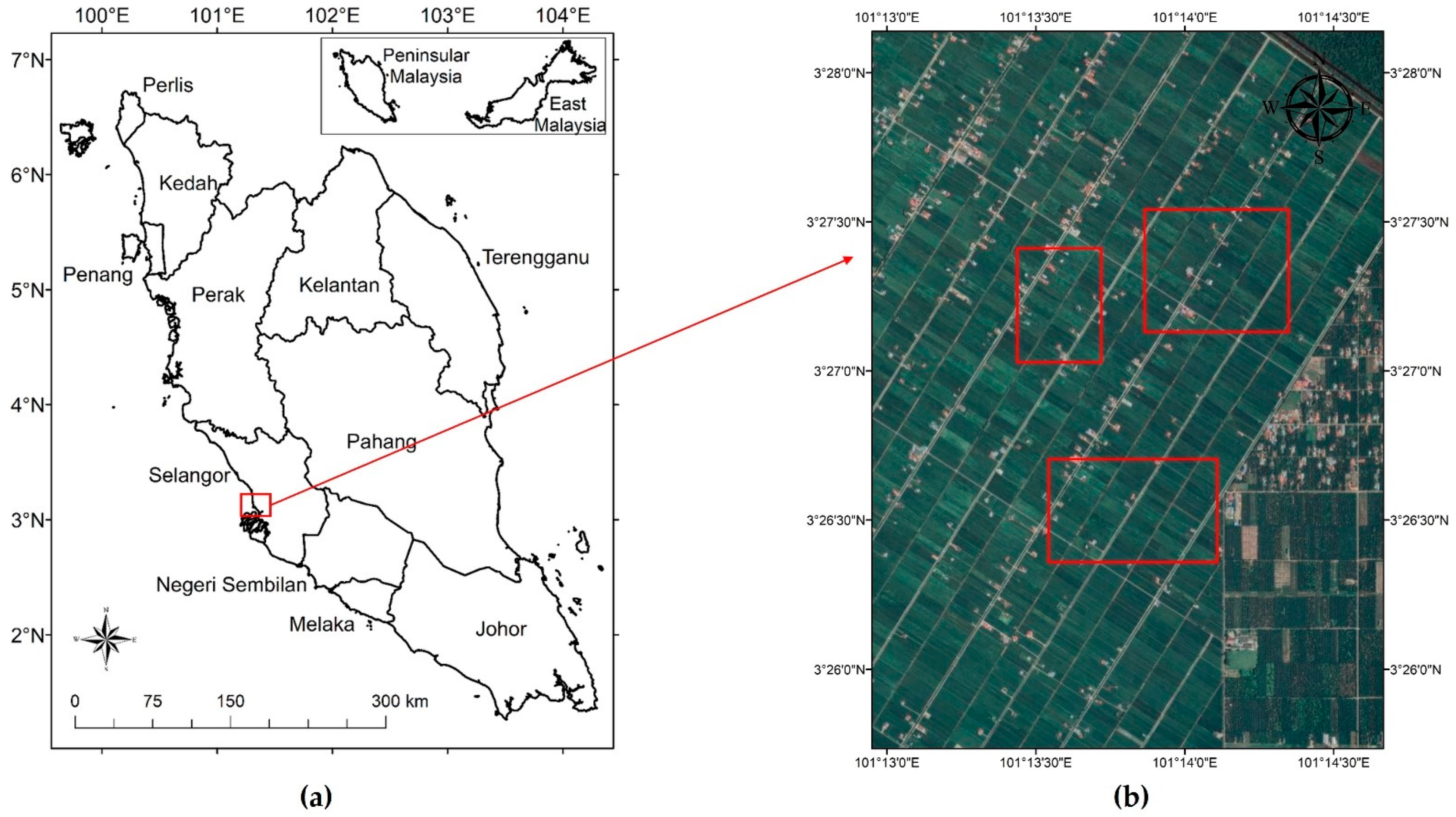 Remotesensing 14 00274 g001