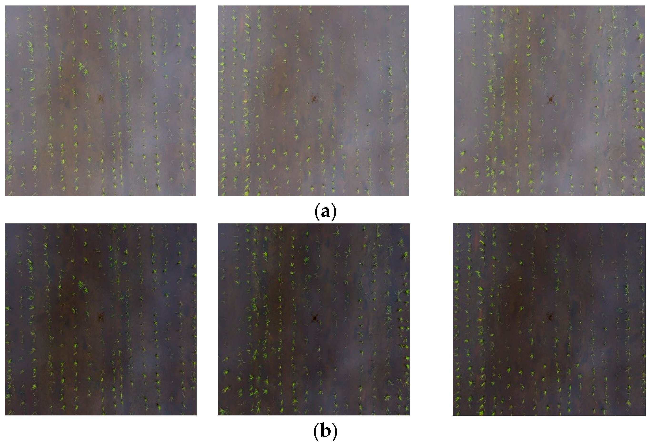 Remotesensing 14 00274 g003